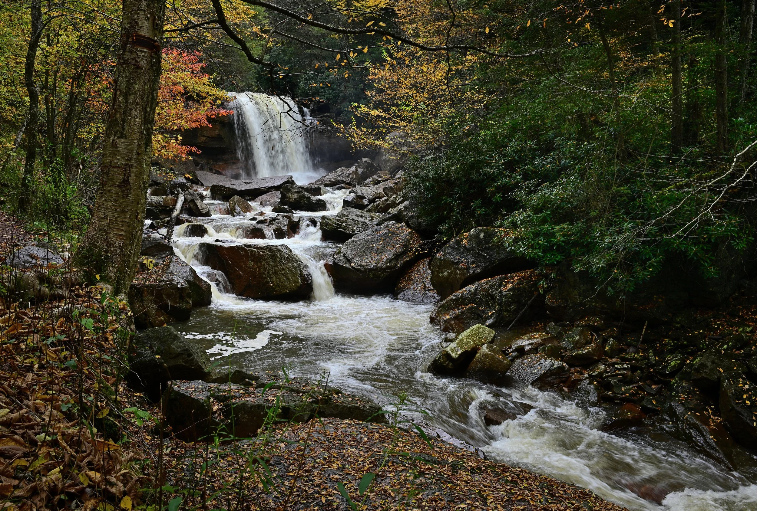 Douglas Falls
