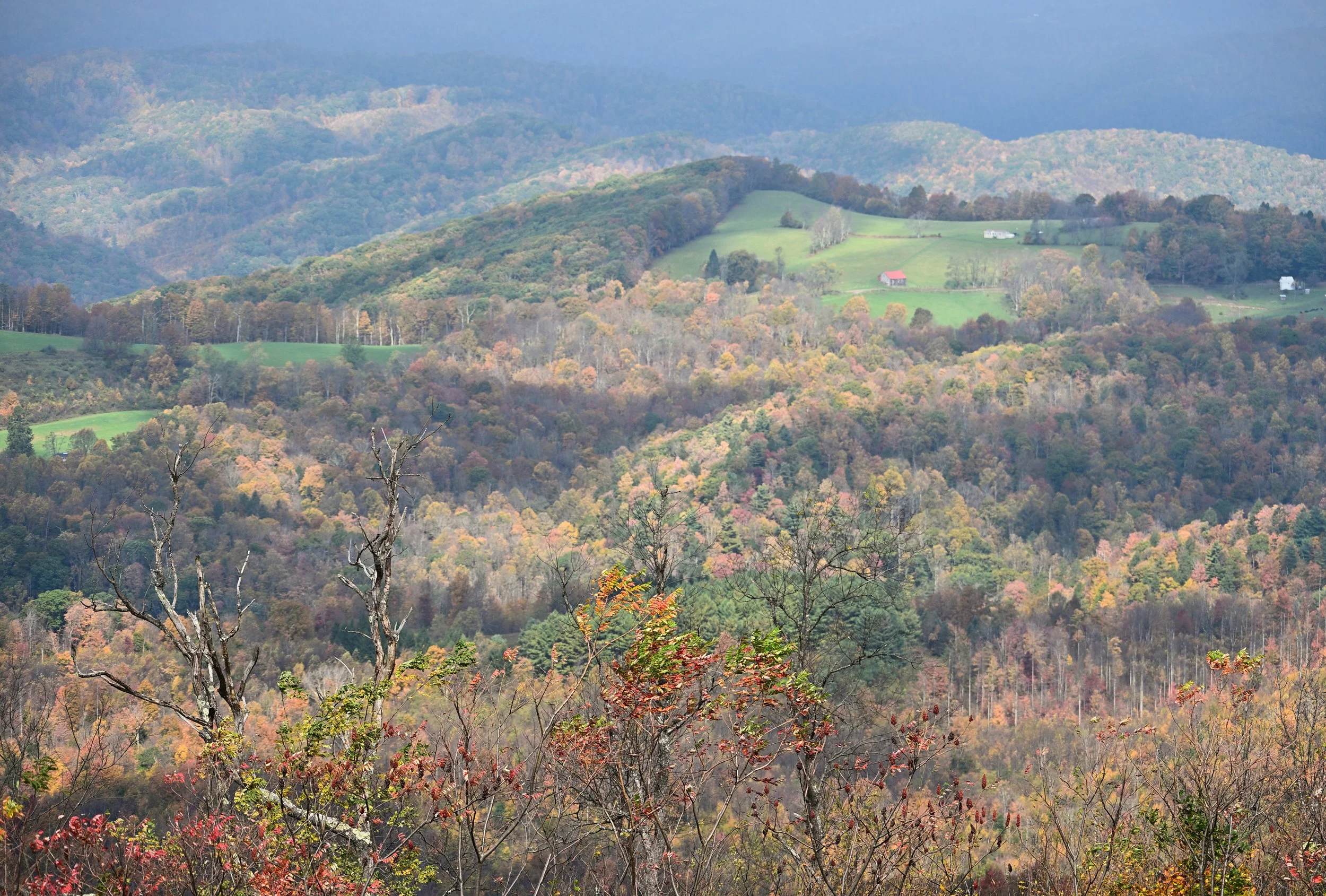 Beautiful roadside view in the Allegheny Mountains of West Virginia