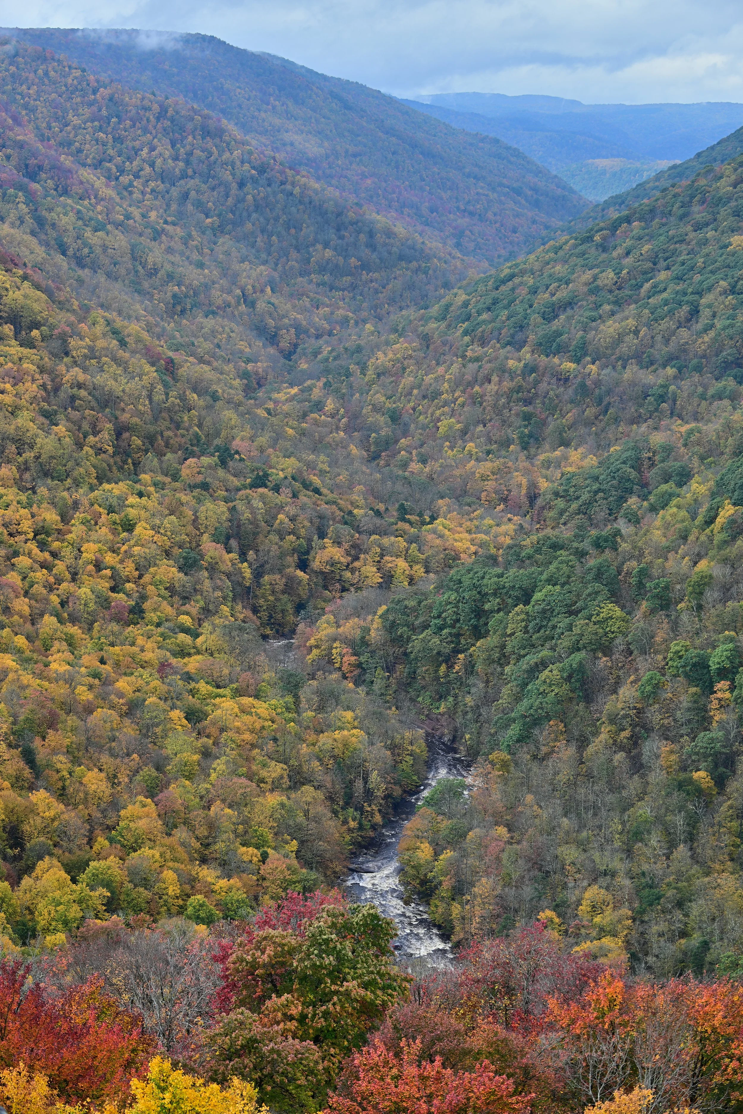 Blackwater Canyon viewed from Lindy Point