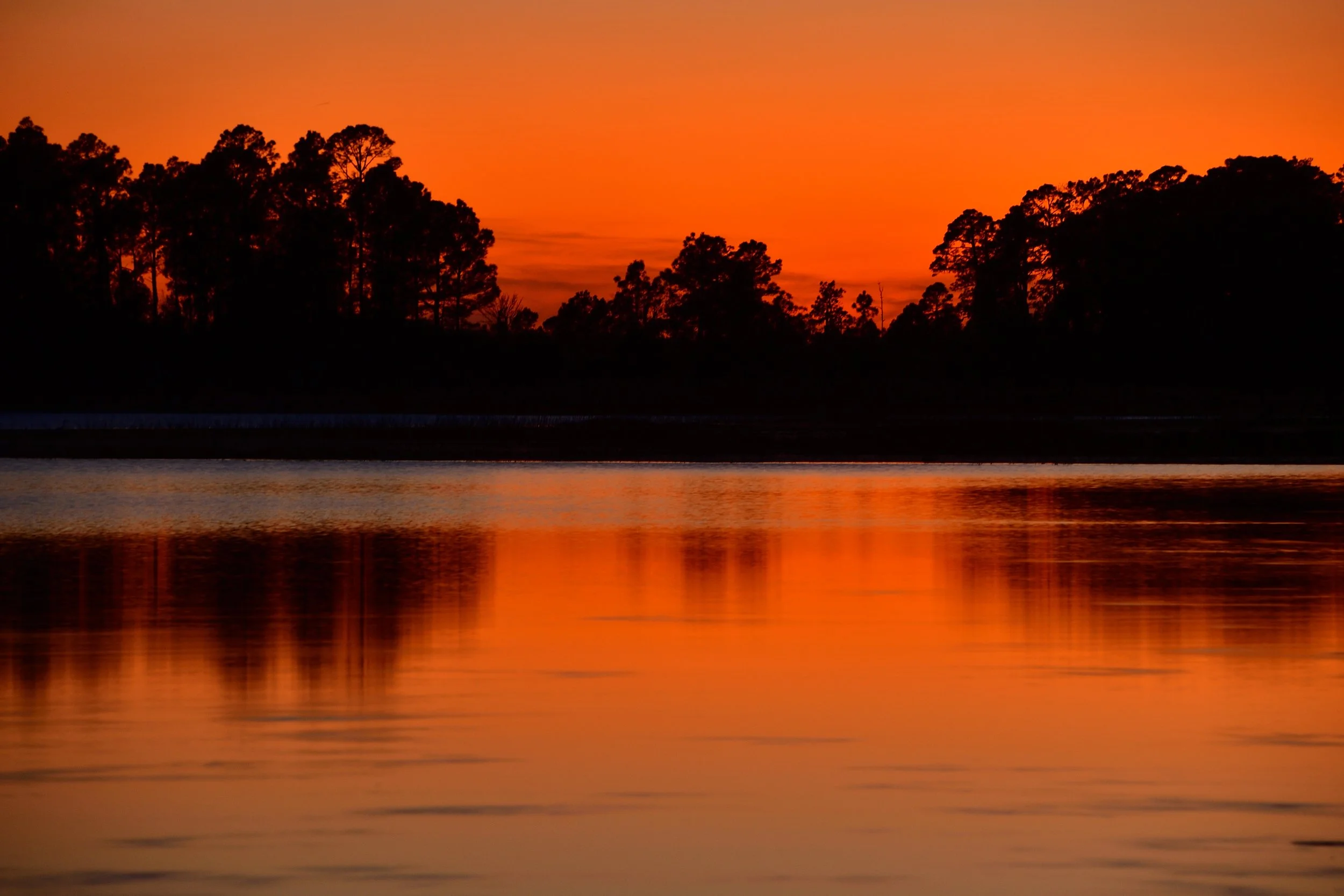 Florida Orange Sunset