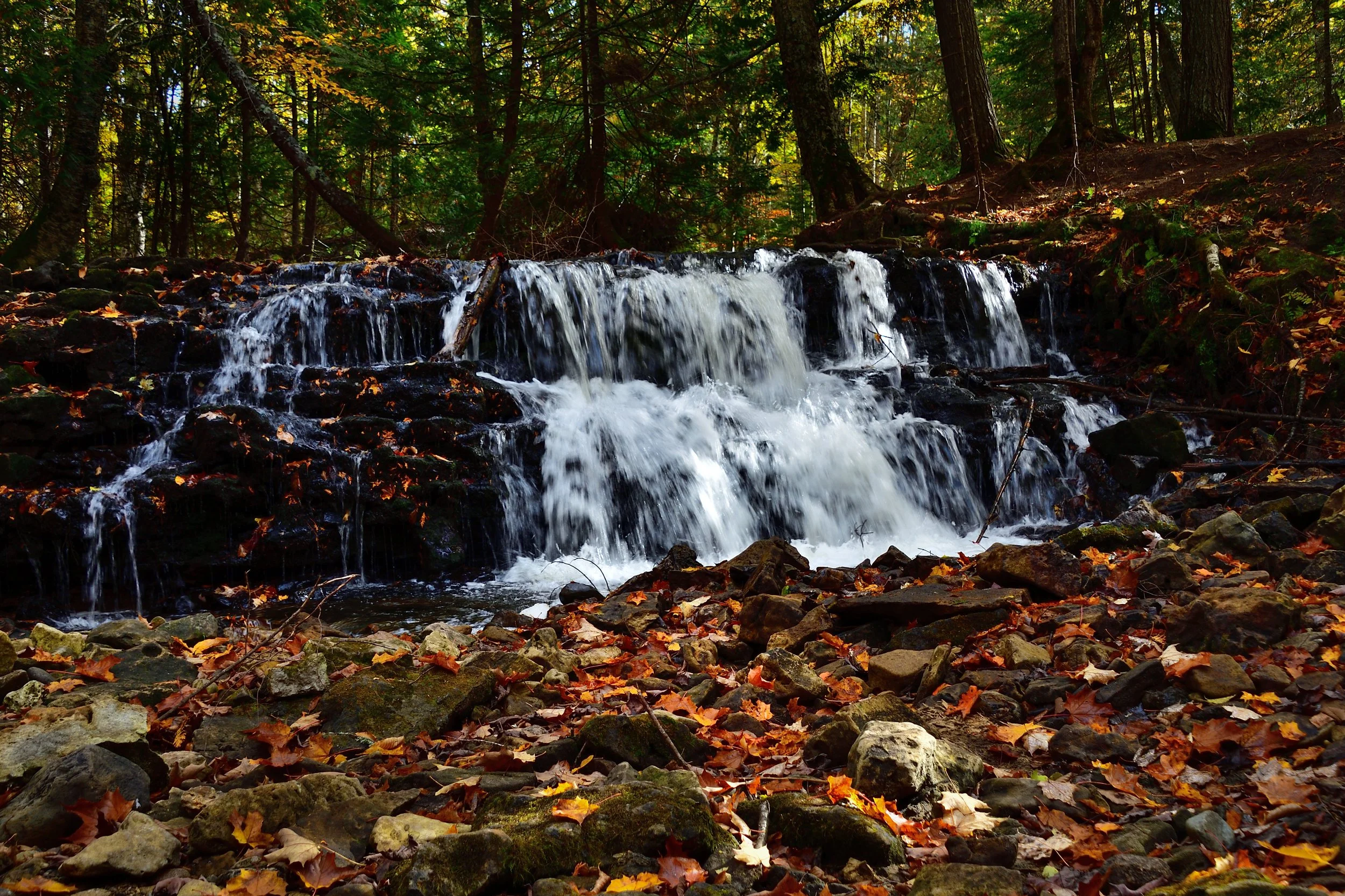 Waterfall In Autumn