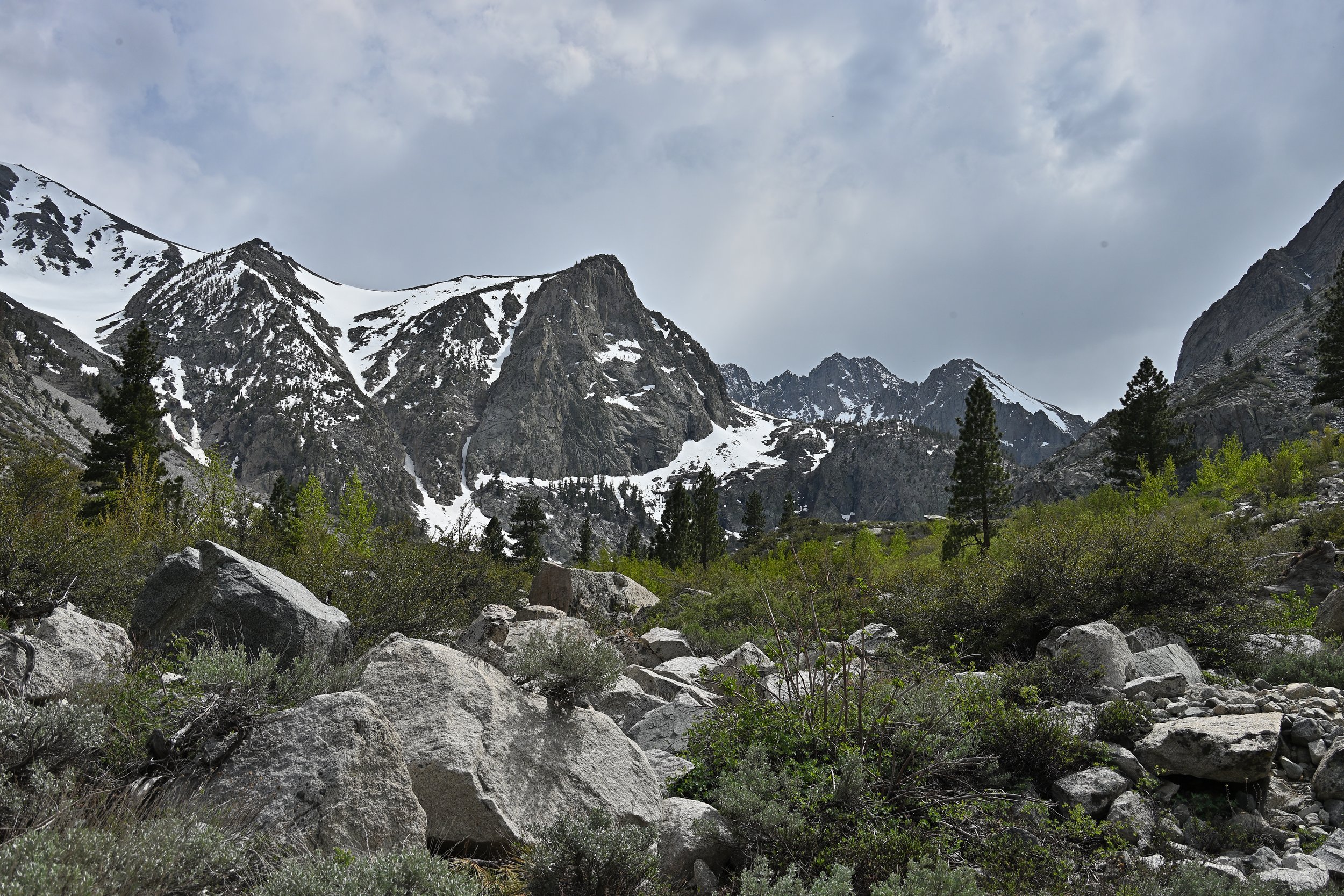 JC3_0753-lrc.jpg