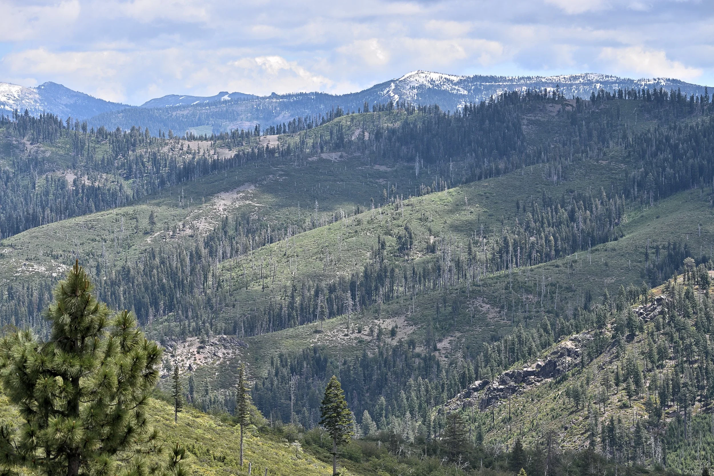Looking Out – Tahoe National Forest