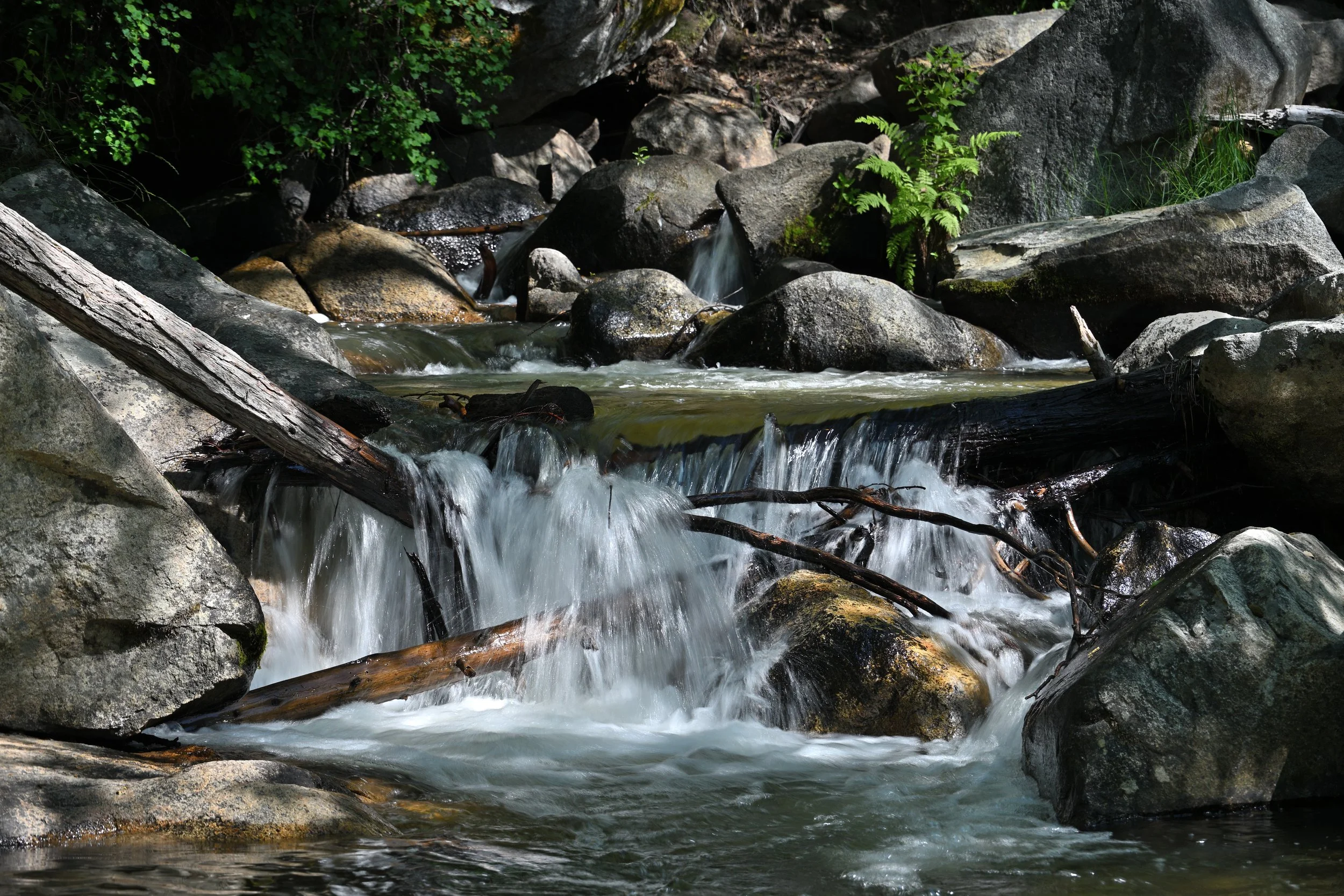 Morning Idyl – Sierra National Forest