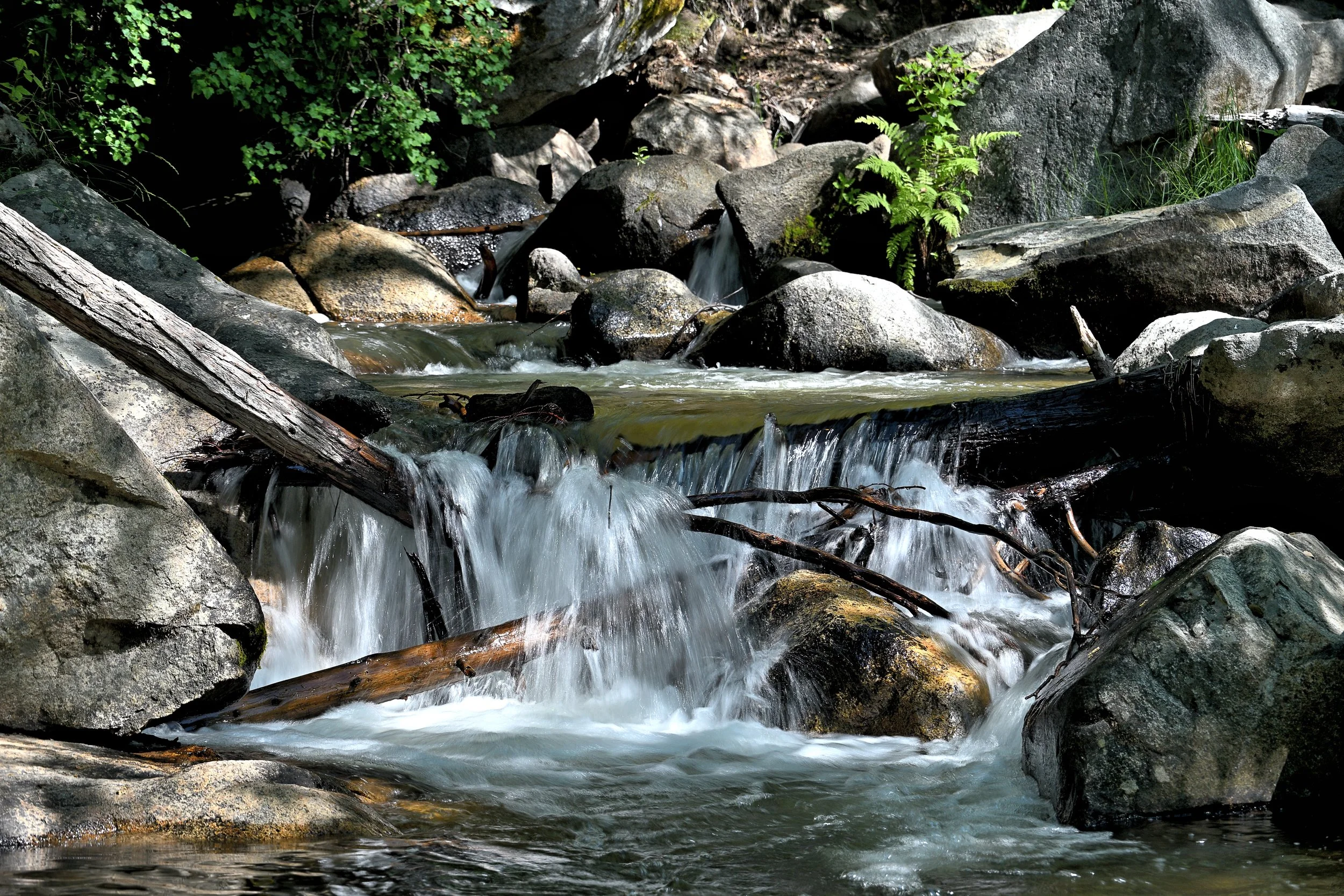 JC3_0108.jpg