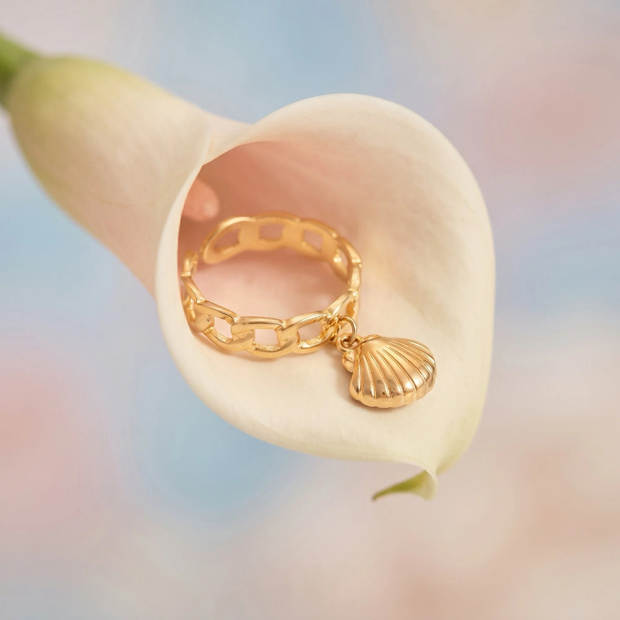Gold Chain Link Ring with Scallop Shell Charm, Adjustable