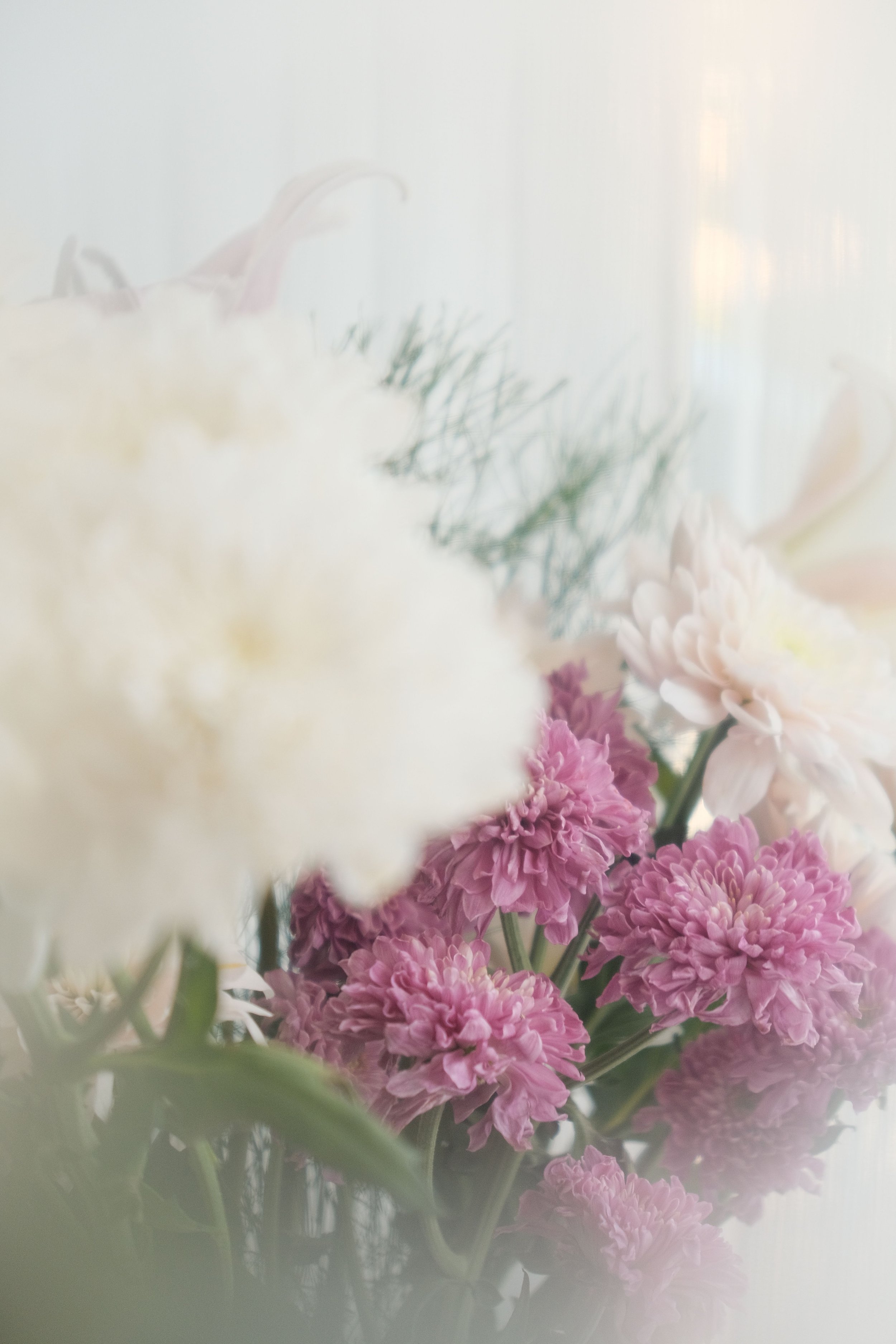 A bouquet of pink and white flowers with some green foliage, slightly blurred with soft lighting.