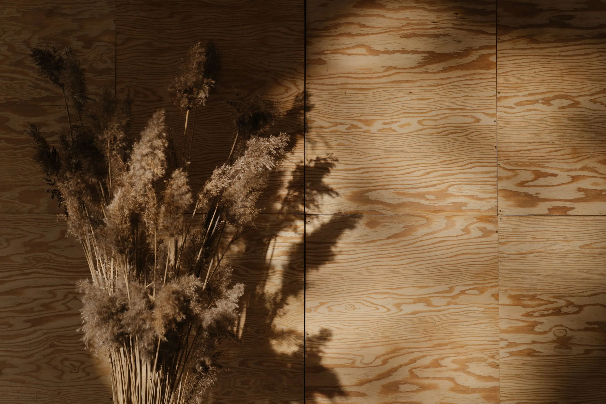 A bunch of dried, fluffy plants, possibly pampas grass or similar, positioned against a wooden wall with horizontal planks and a warm, natural lighting cast on the scene.