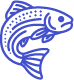 Salmon icon from the Noun Project by Fath Yusuf Iskhaqy