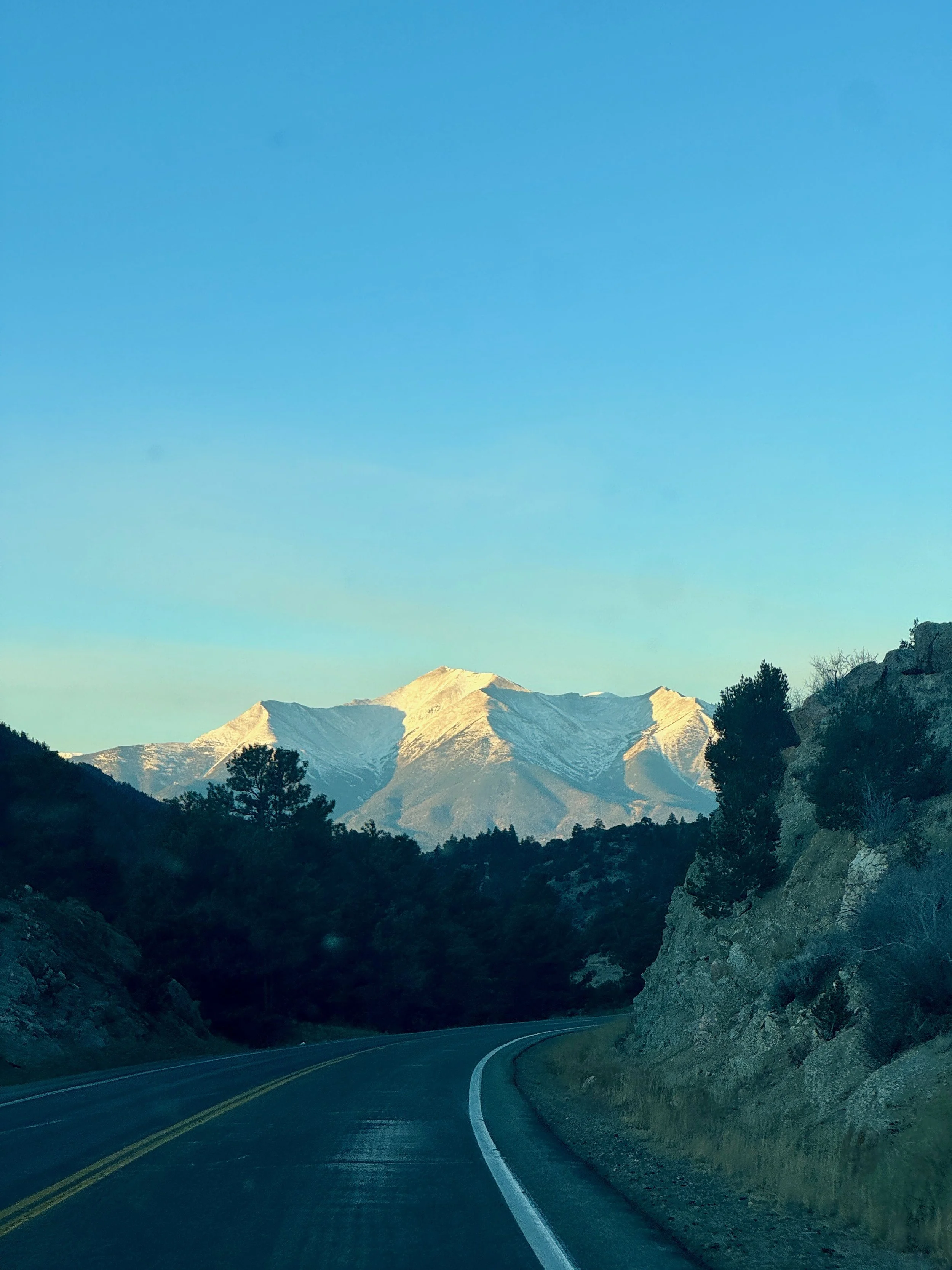 Curving mountain road with snow-capped peaks in the background and trees on both sides of the road.