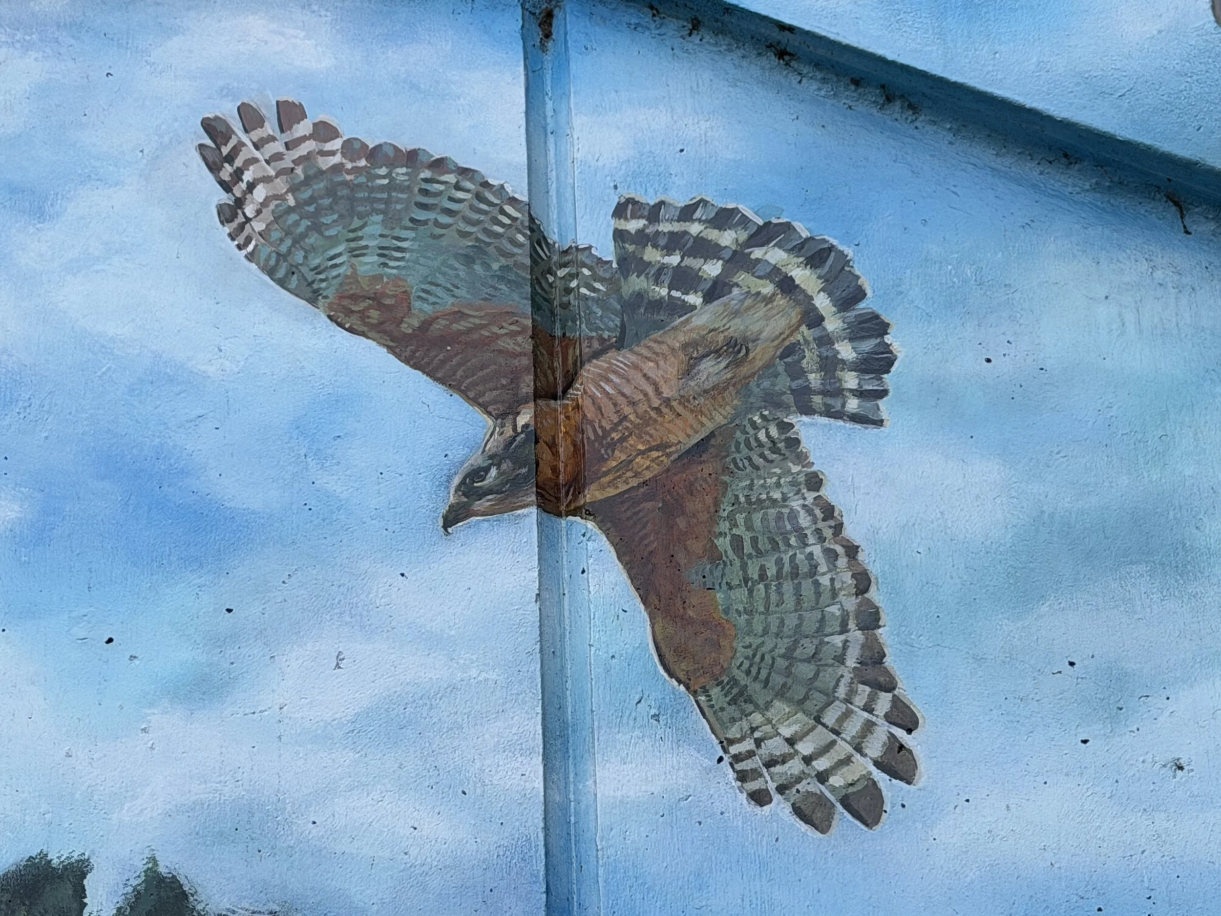 SLIDESHOW-BurnMural-Hawk.jpg