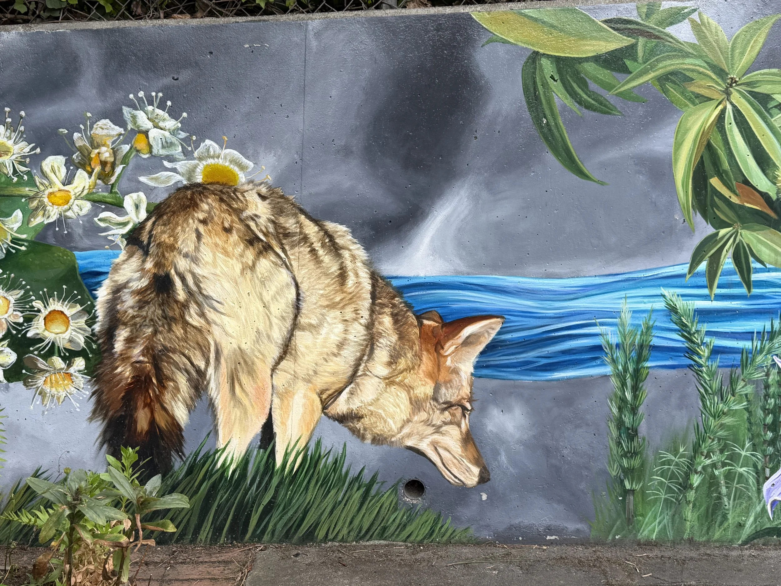 SLIDESHOW-BurnMural-Coyote.jpg