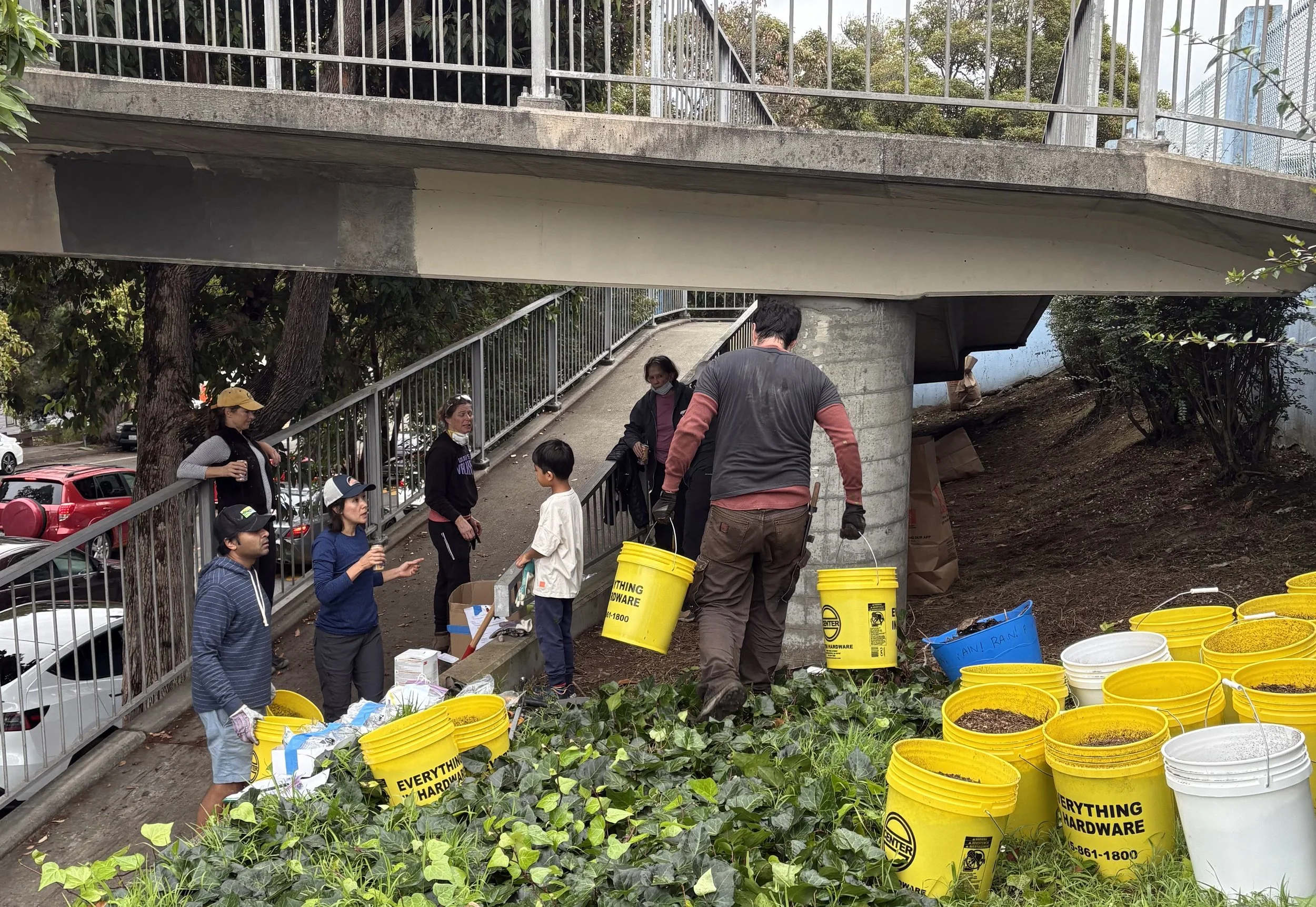 Bosworth Pedestrian Bridge Glen Park School-side Gardening Day I