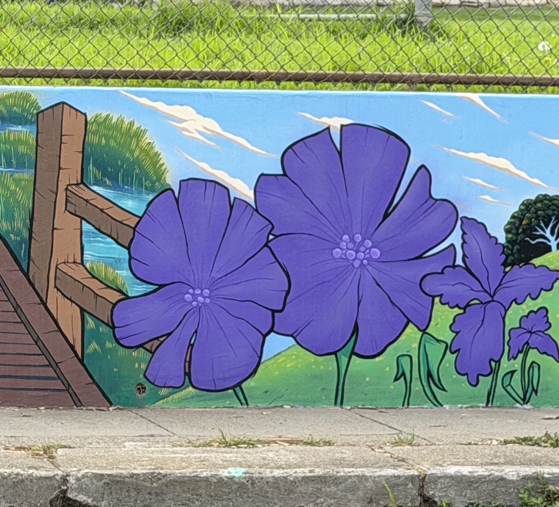 Elk Street Mural