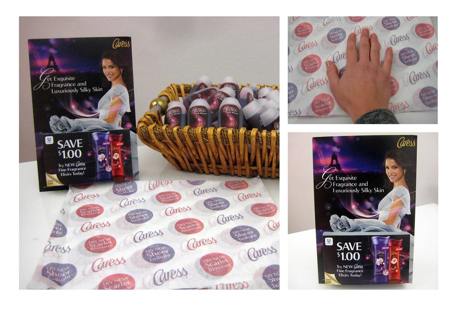 Caress Manicure Sample Program