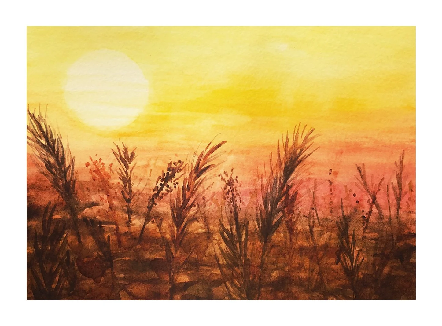 Watercolor