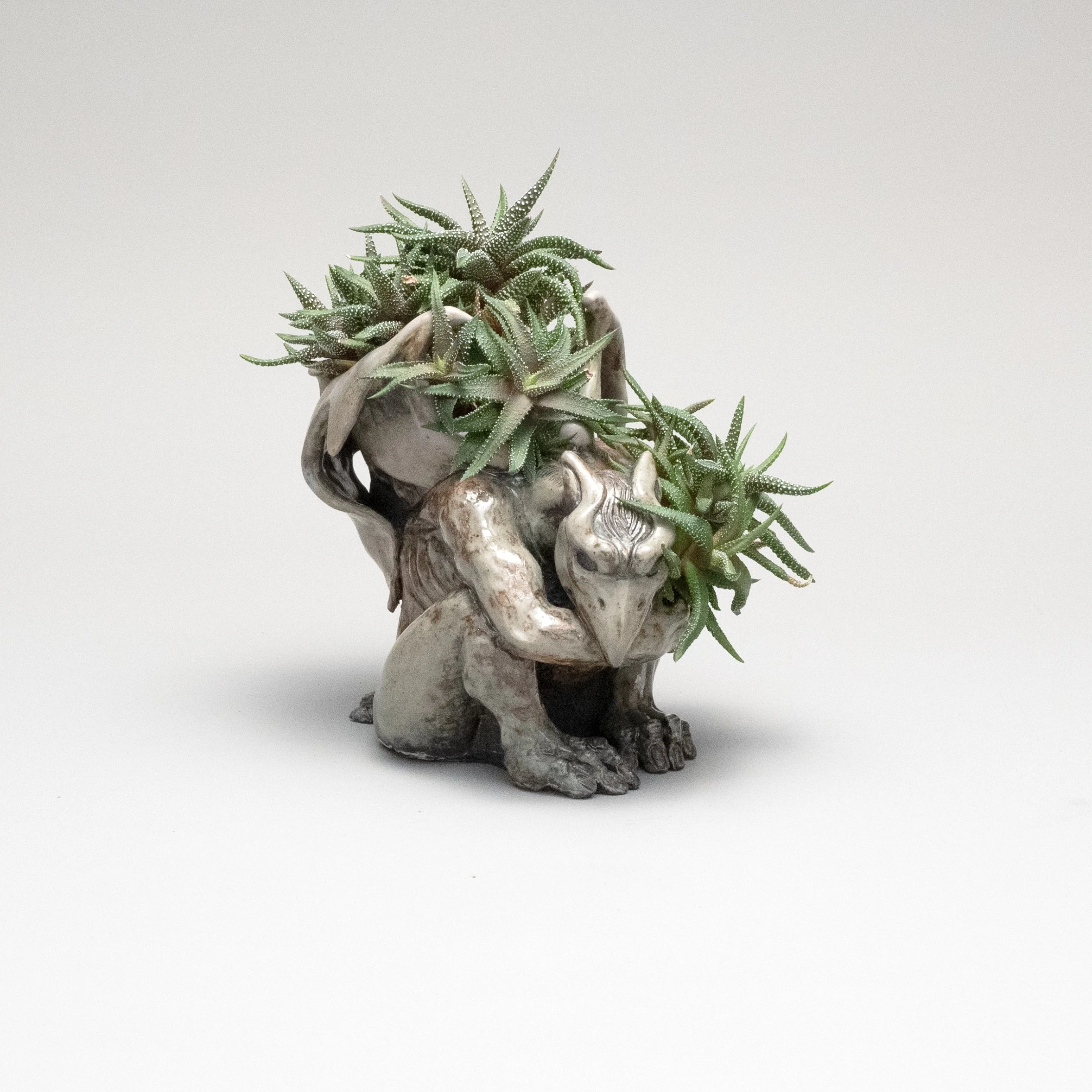 Raptor Gargoyle Planter with Succulent