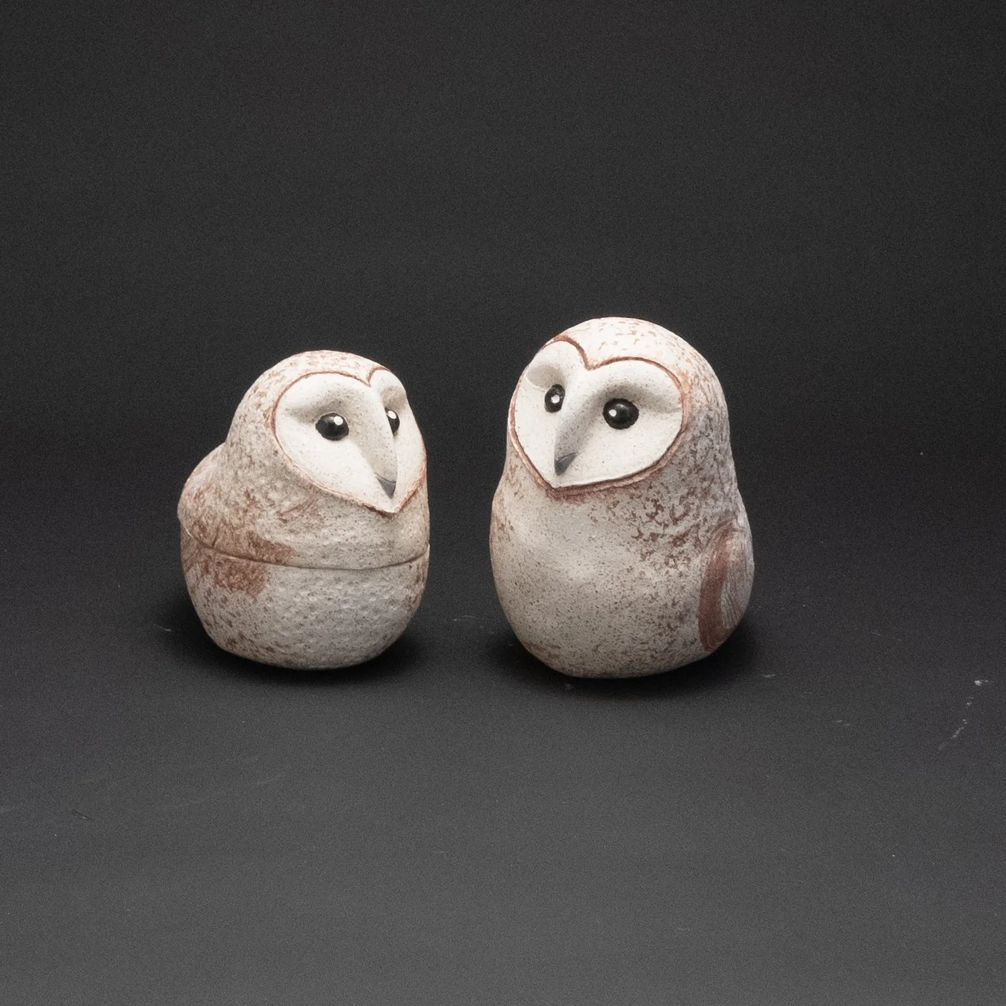 Micaceous Clay Pair of Charming Barn Owls