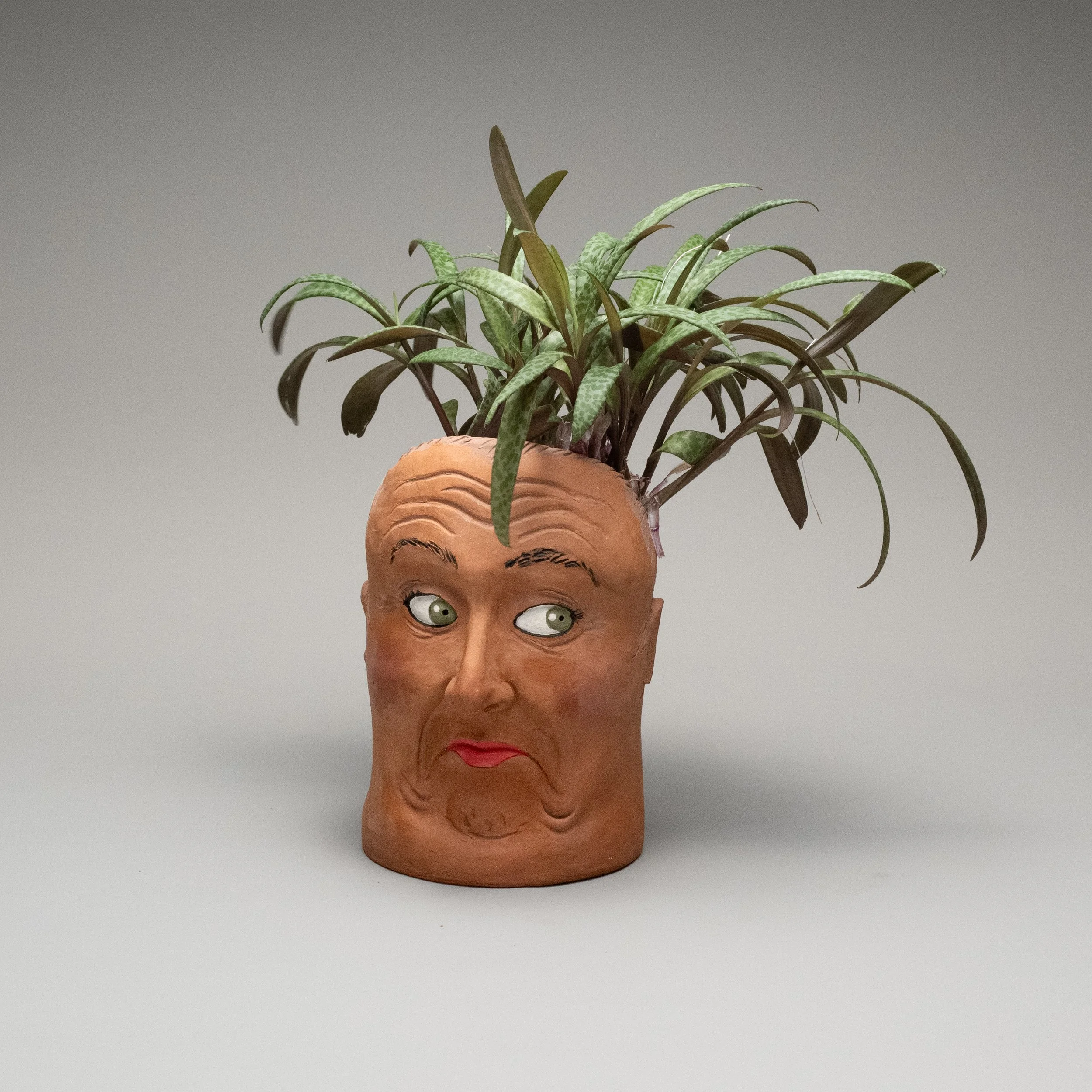 Whimsical Disapproving Face Terracotta Planter