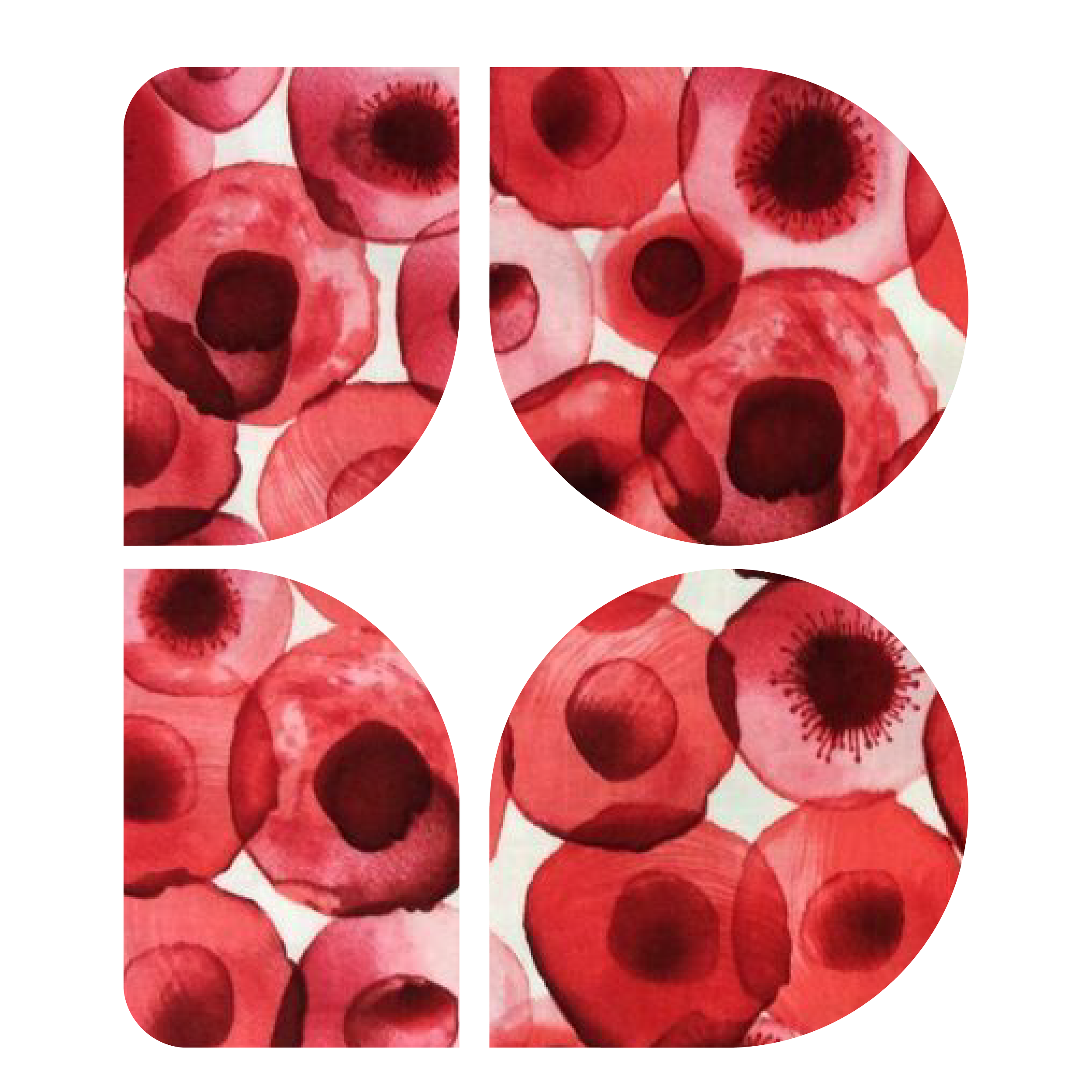 BAI_Logos_2.png