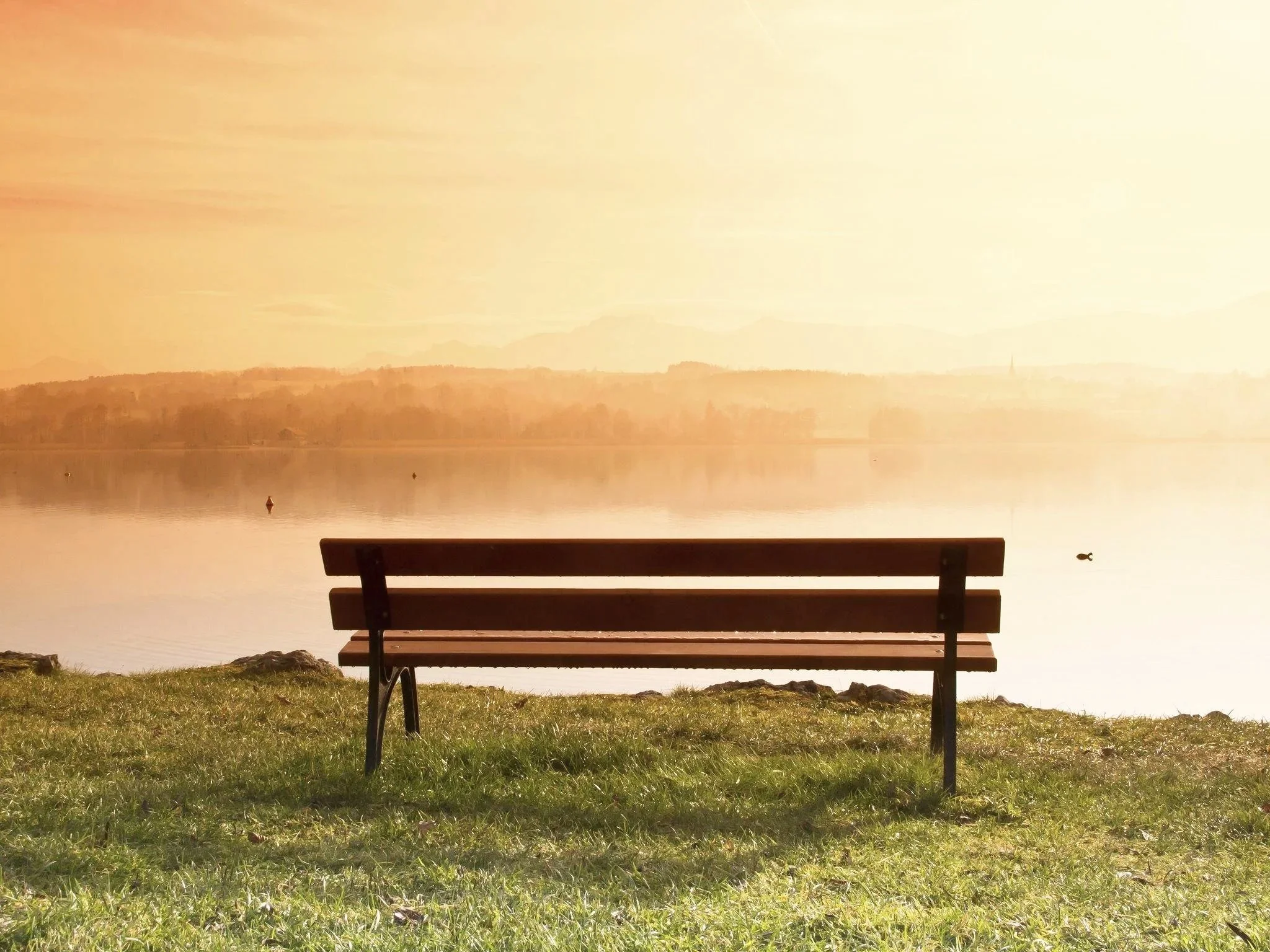 A comfortable chair by a sunlit window, symbolizing rest, emotional recovery, and a peaceful space to slow down.