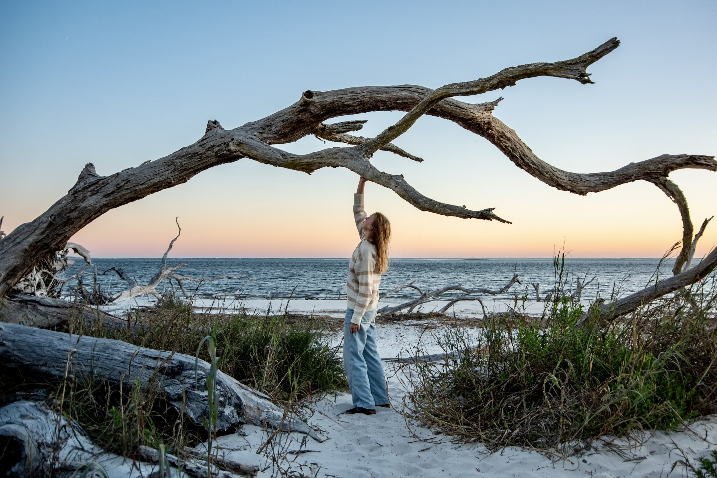 A girl standing on a sandy beach with her hand reaching up to touch a large fallen tree branch overhead. The background shows a calm ocean and a colorful sky at sunset.