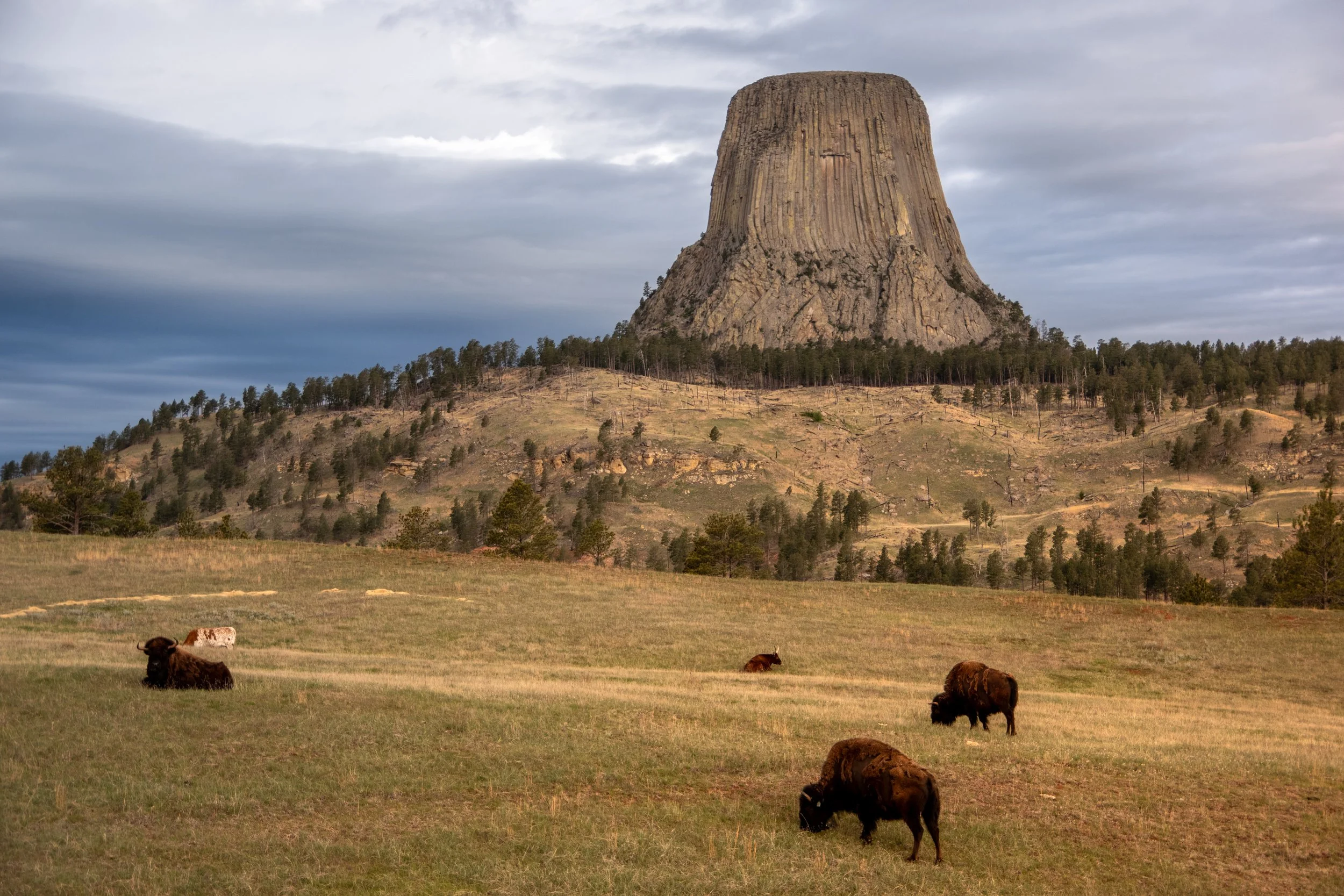 Devils Tower National Monument