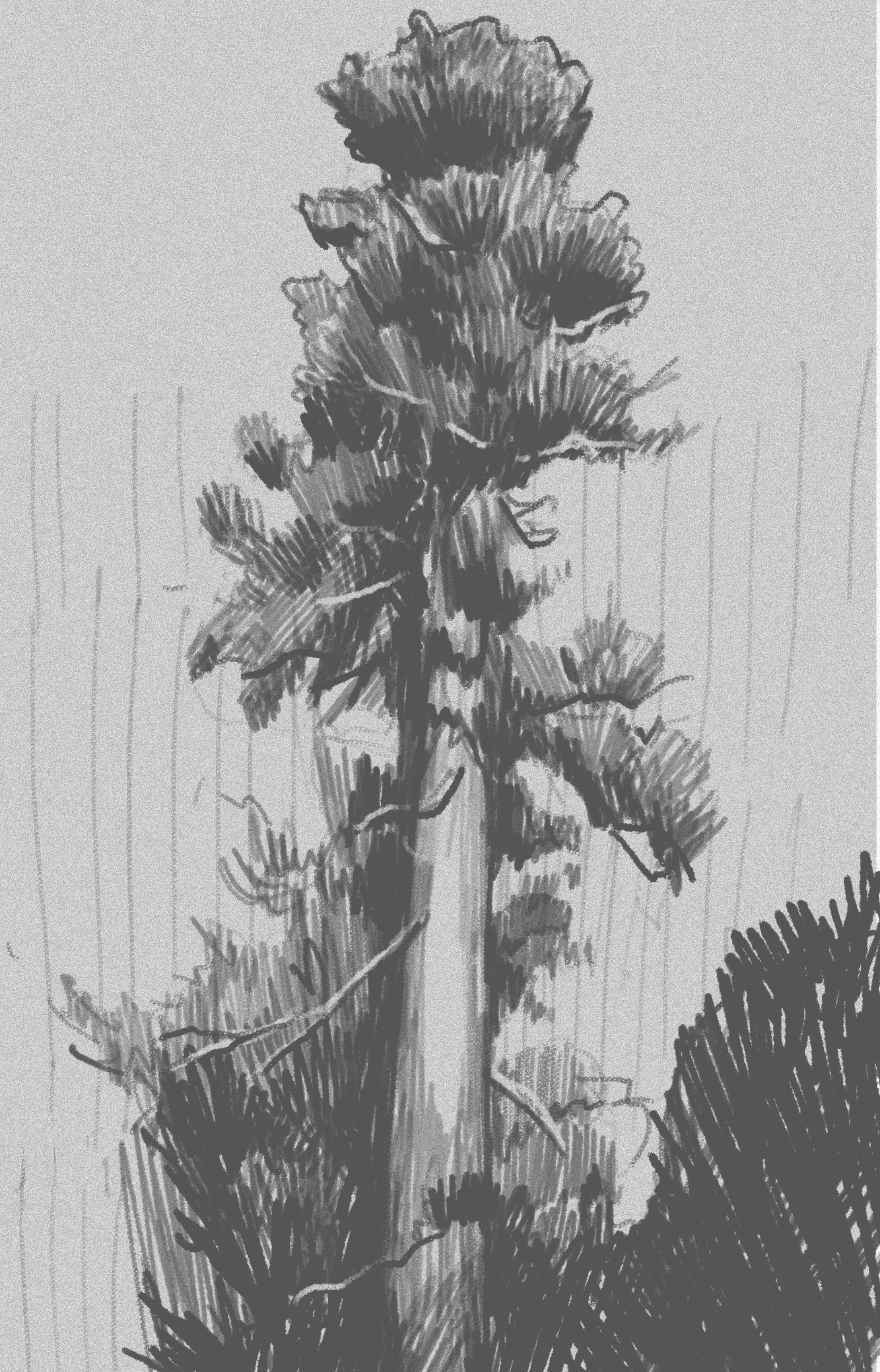 Untitled_Artwork 8.jpg