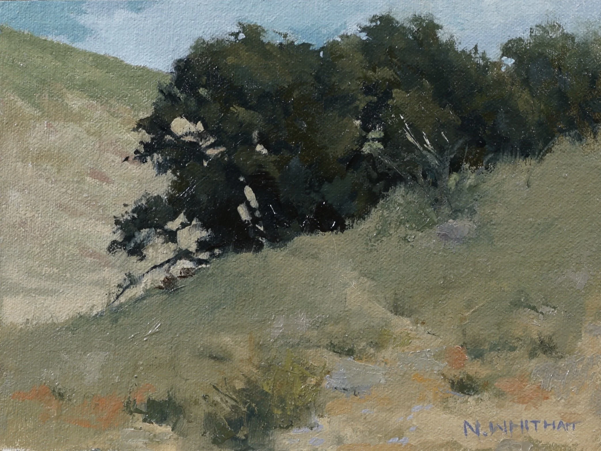"Garden" 8x6