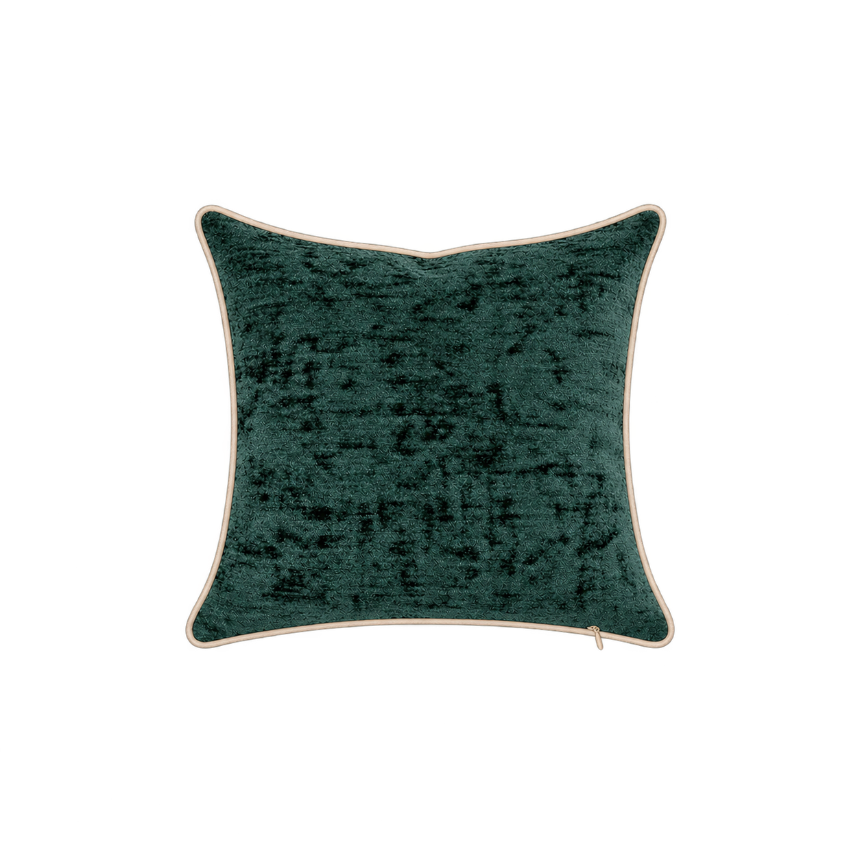 The-Evergreen-Back.png