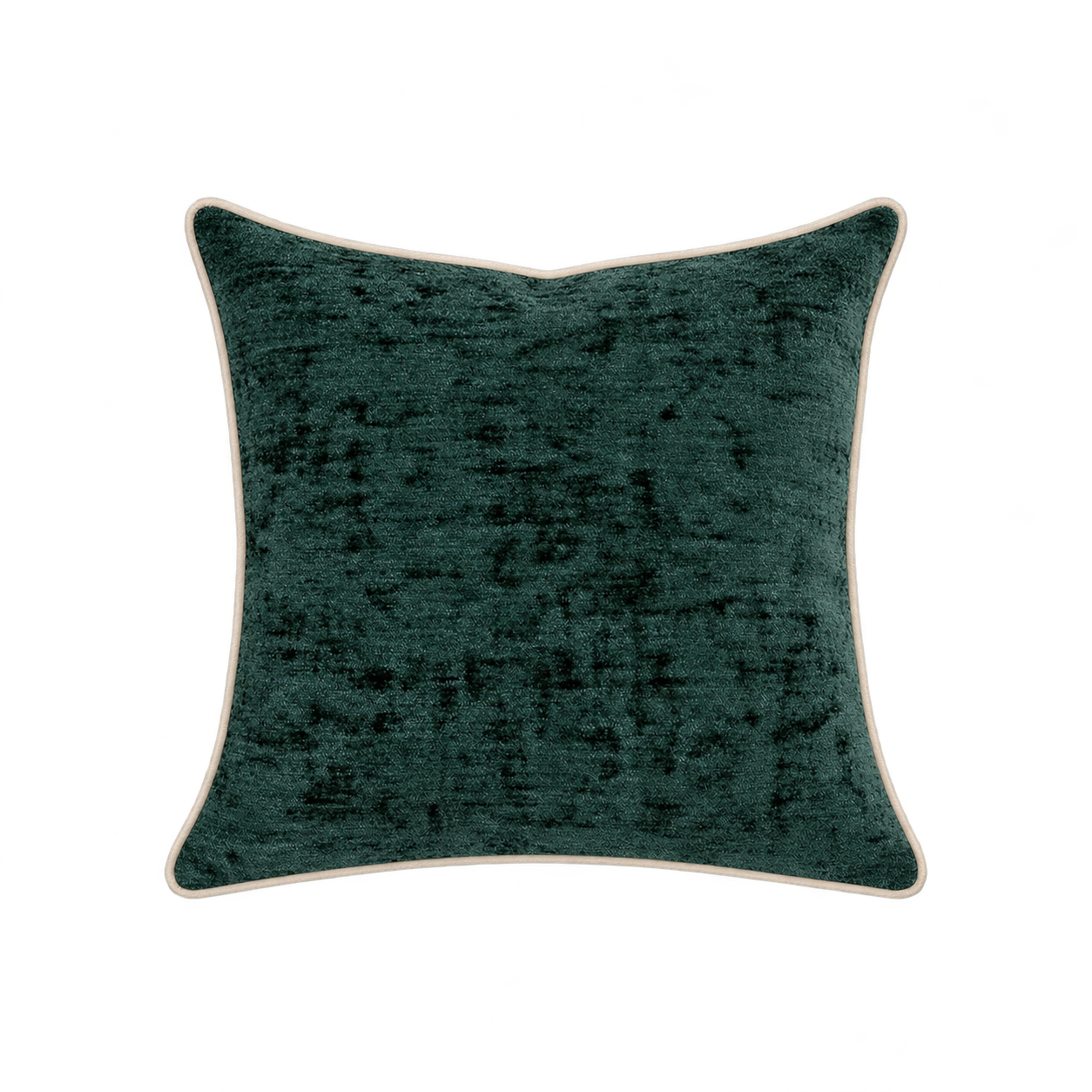 The-Evergreen-Front.png