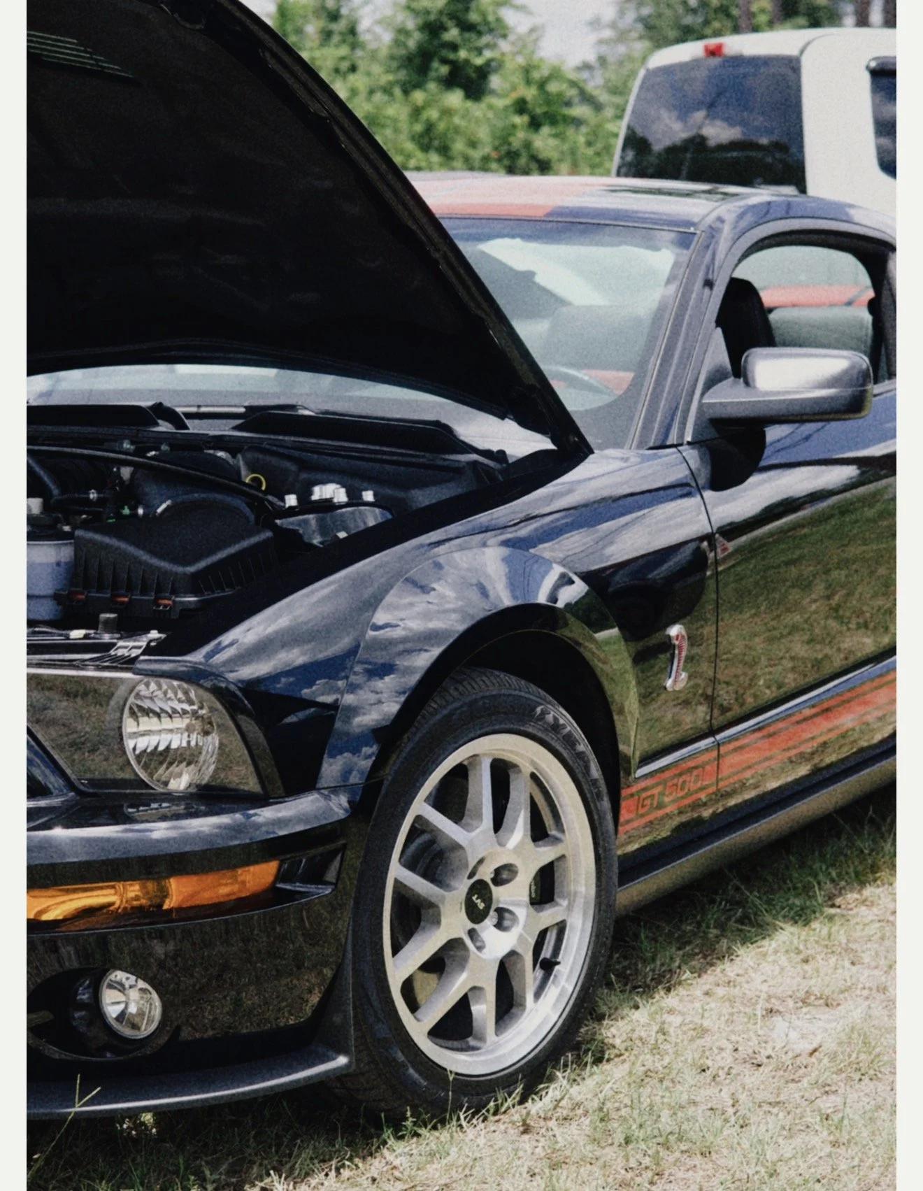 A black Ford Mustang GT 500 with its hood open, showing the engine, parked on grass next to a white vehicle.