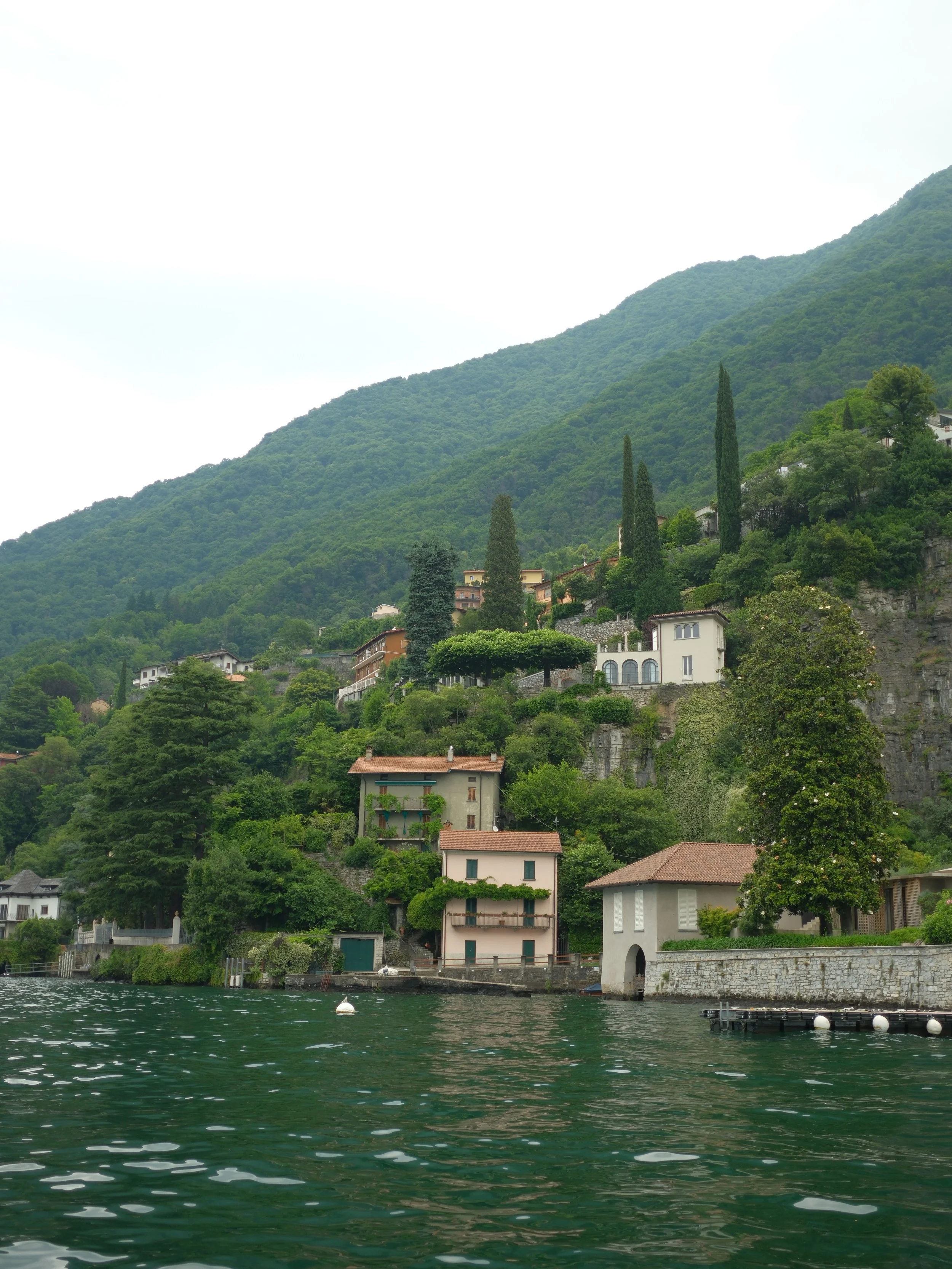 Hilly lakeside neighborhood with houses and tall cypress trees, view from water.