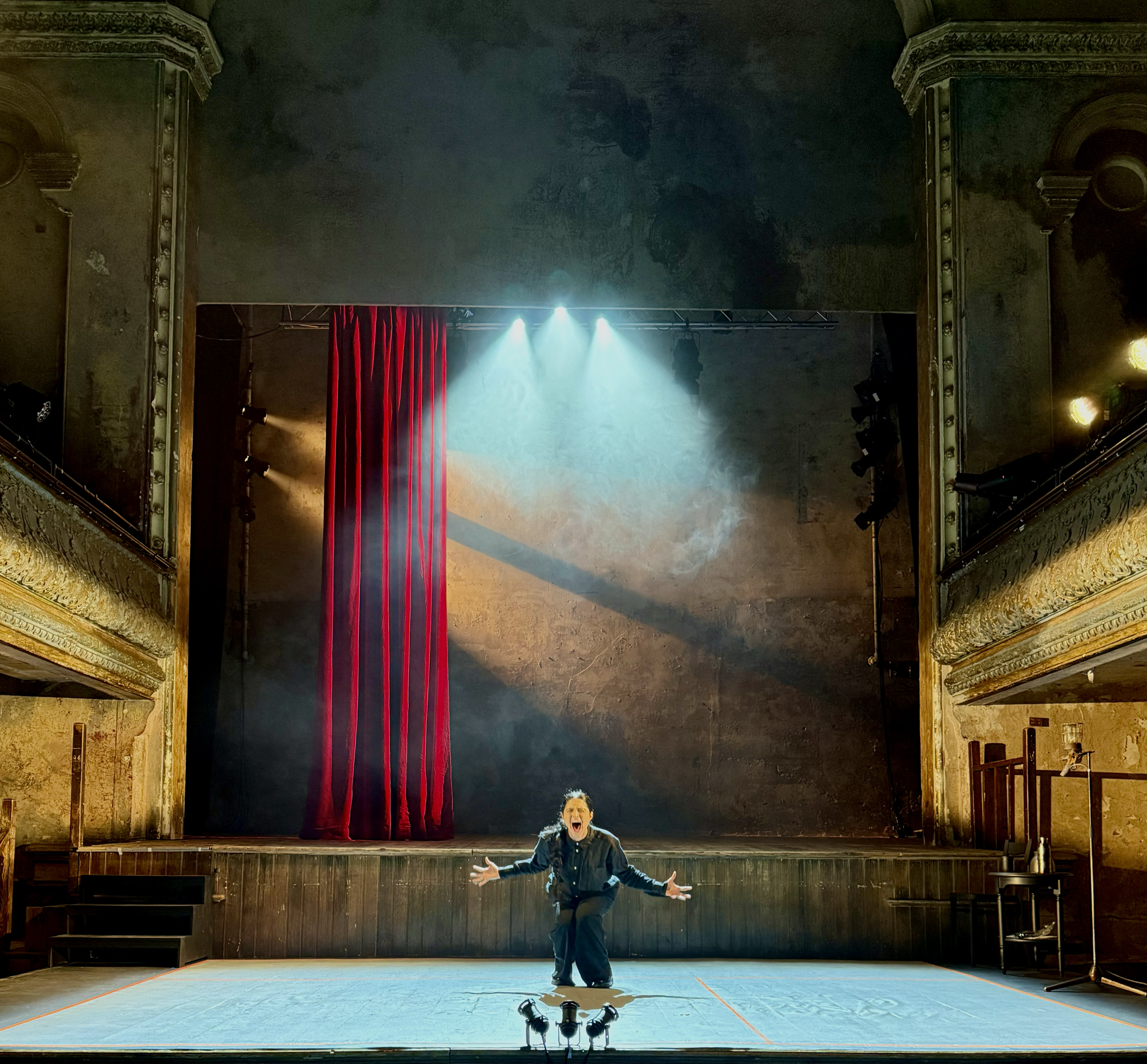 The Plays The Thing: A One Person Hamlet