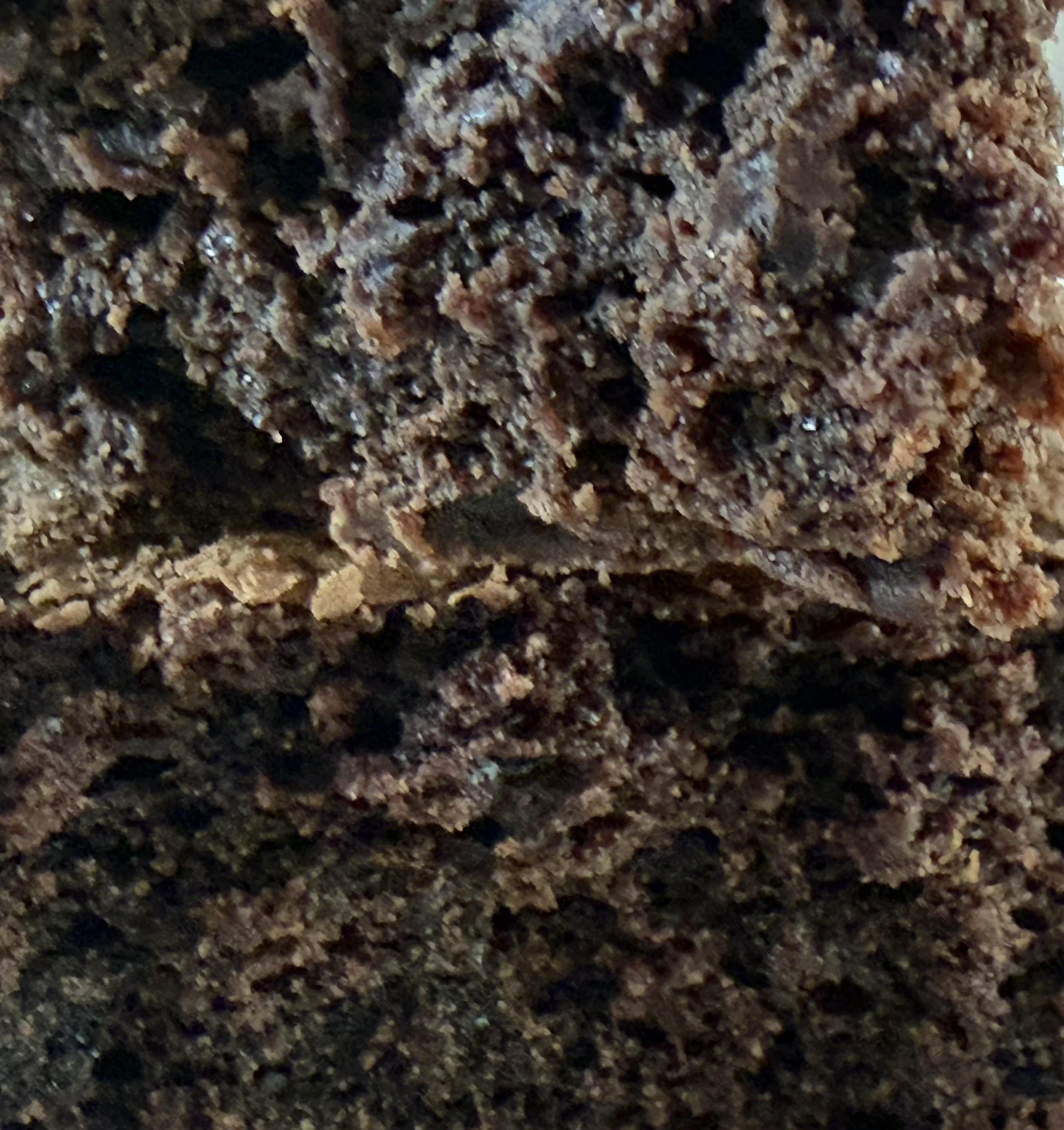 FBrownie3.jpg