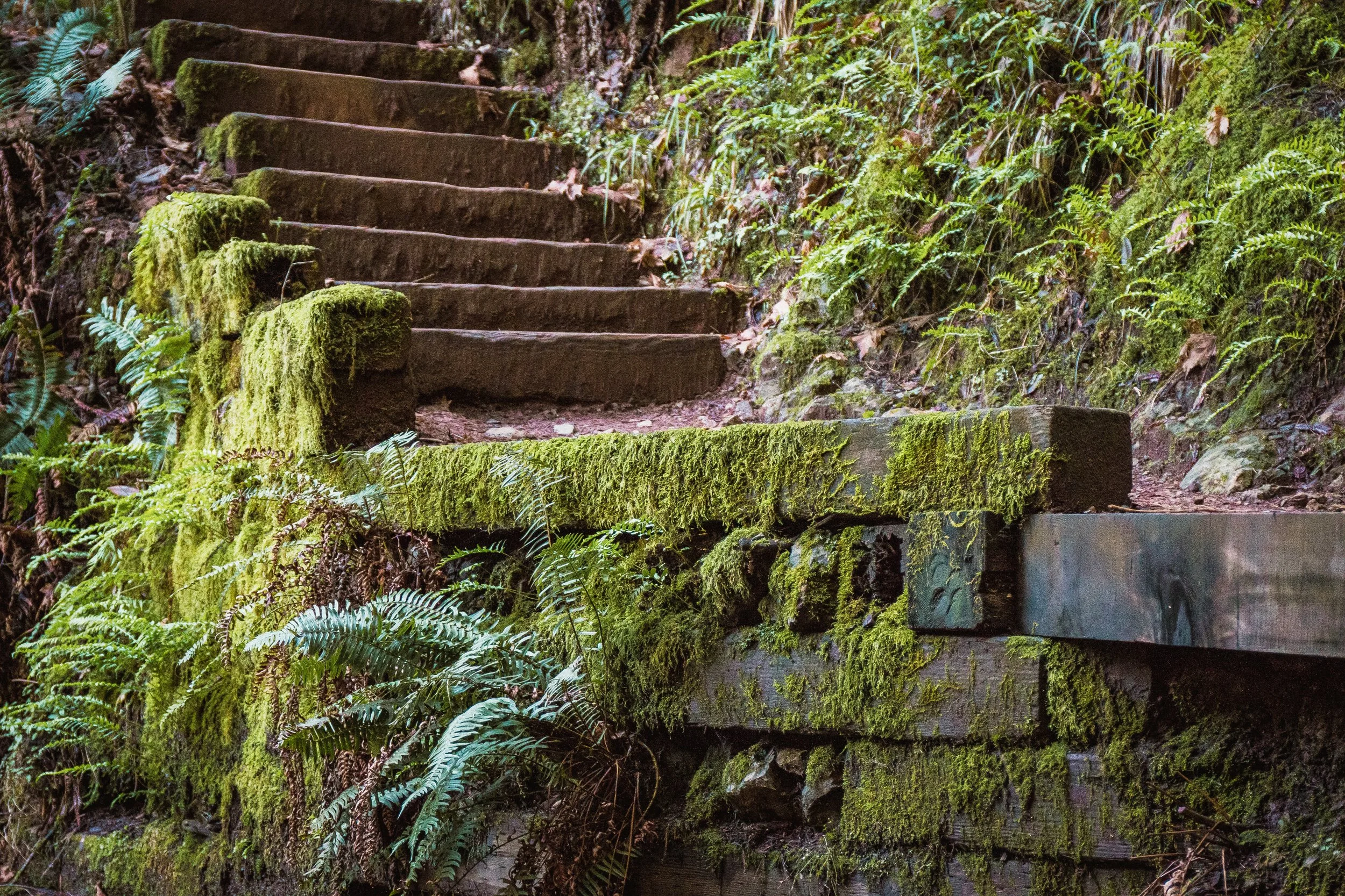 Cataract Steps.jpg