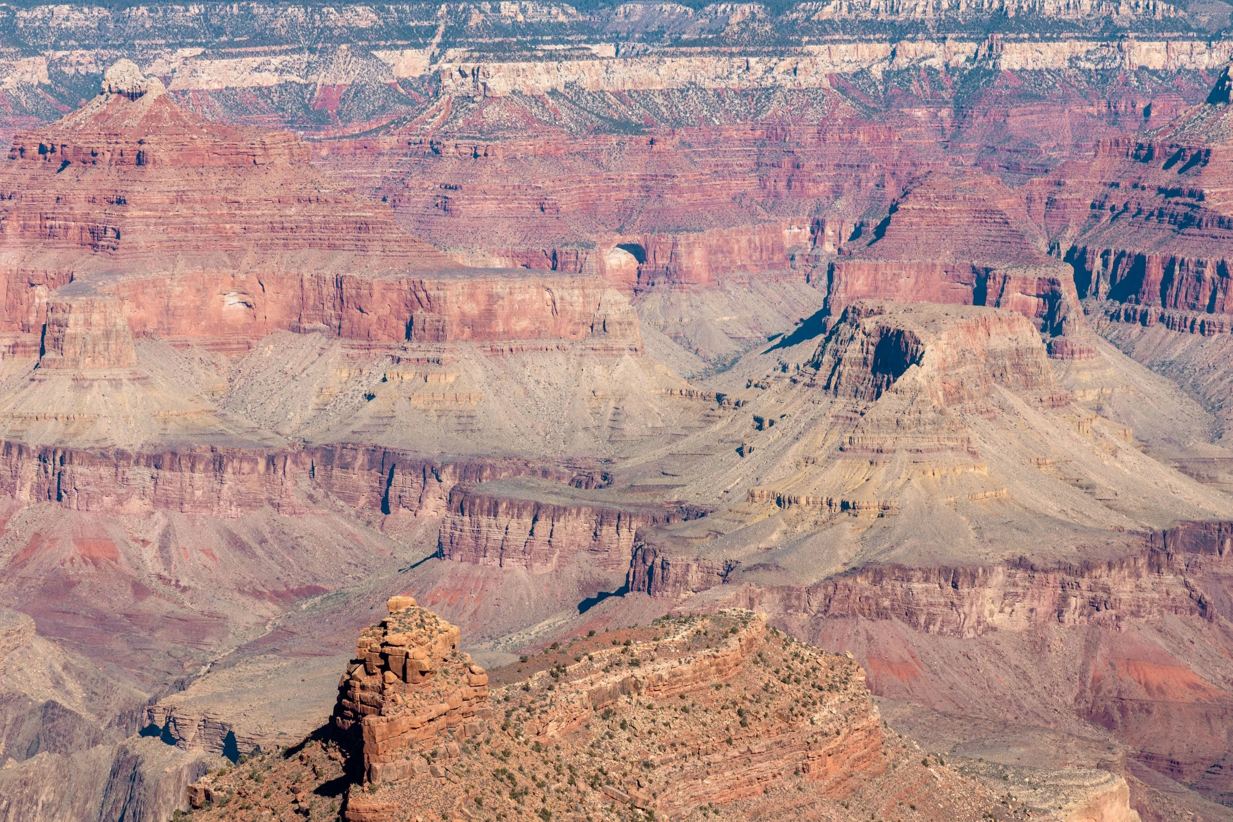 Grand Canyon.jpg