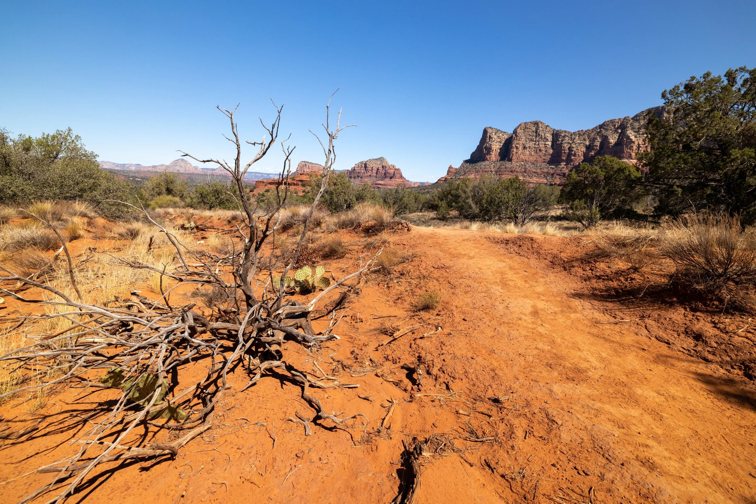Sedona, AZ