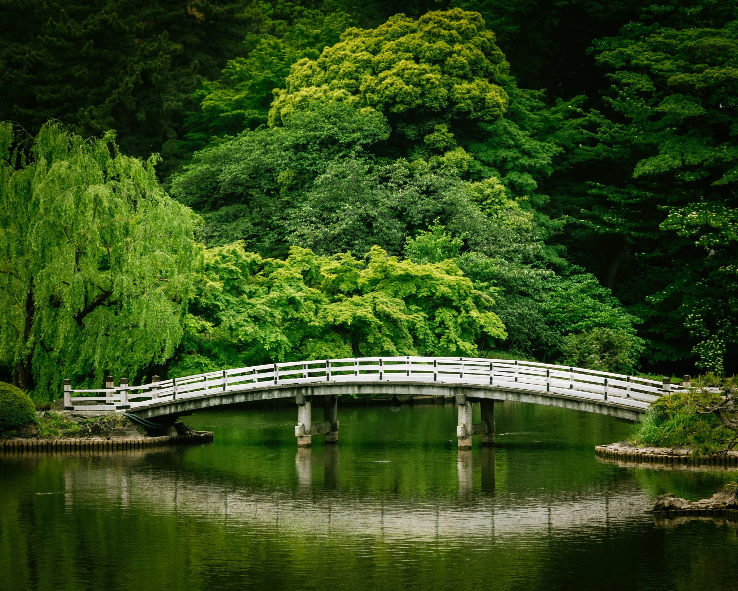 Tokyo Garden.jpg