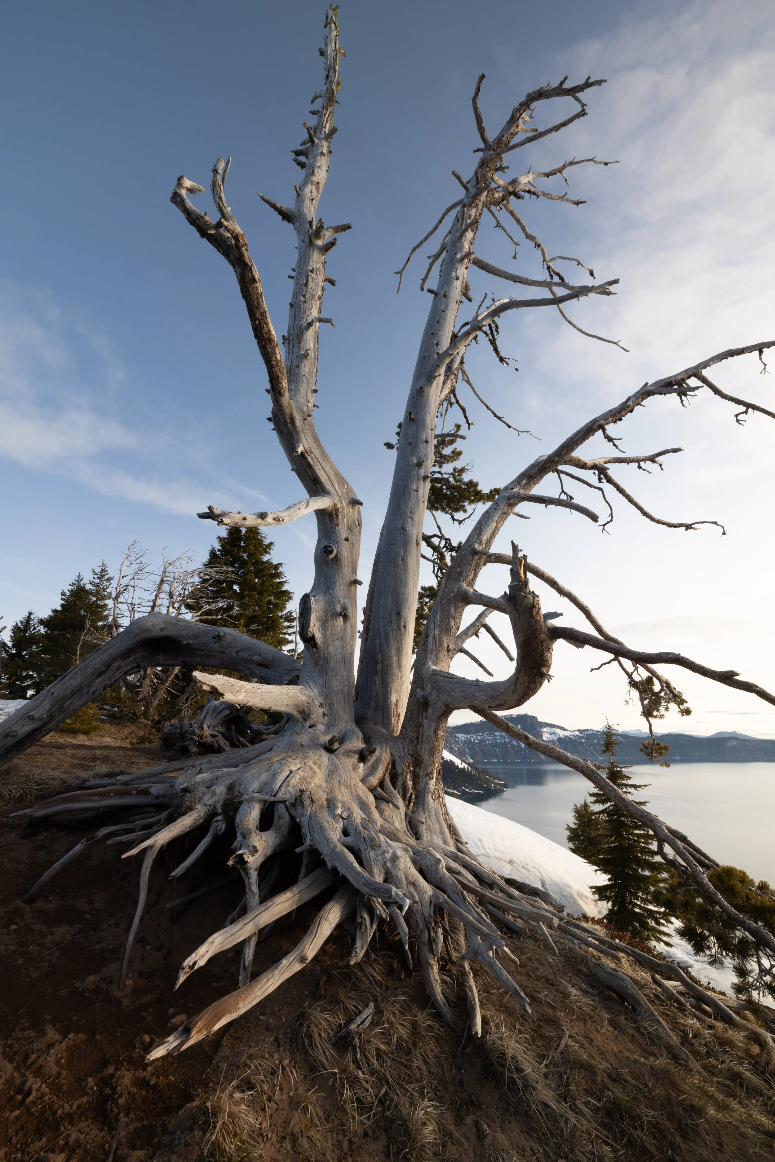 Gnarly Crater Lake.jpg