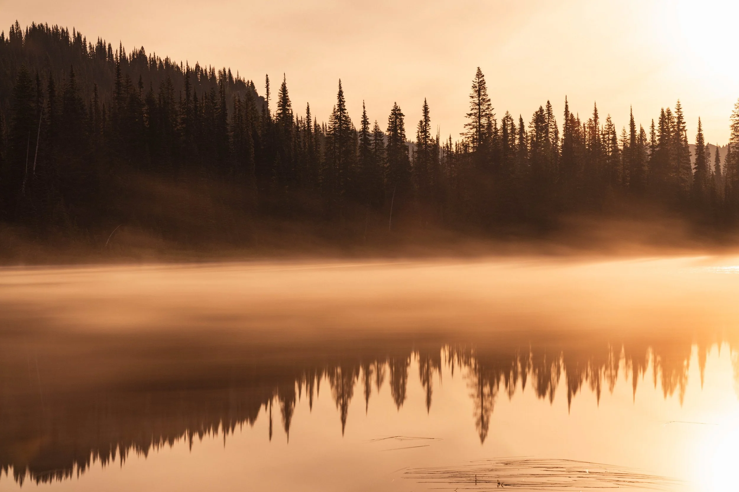 Rainier Reflection.jpg