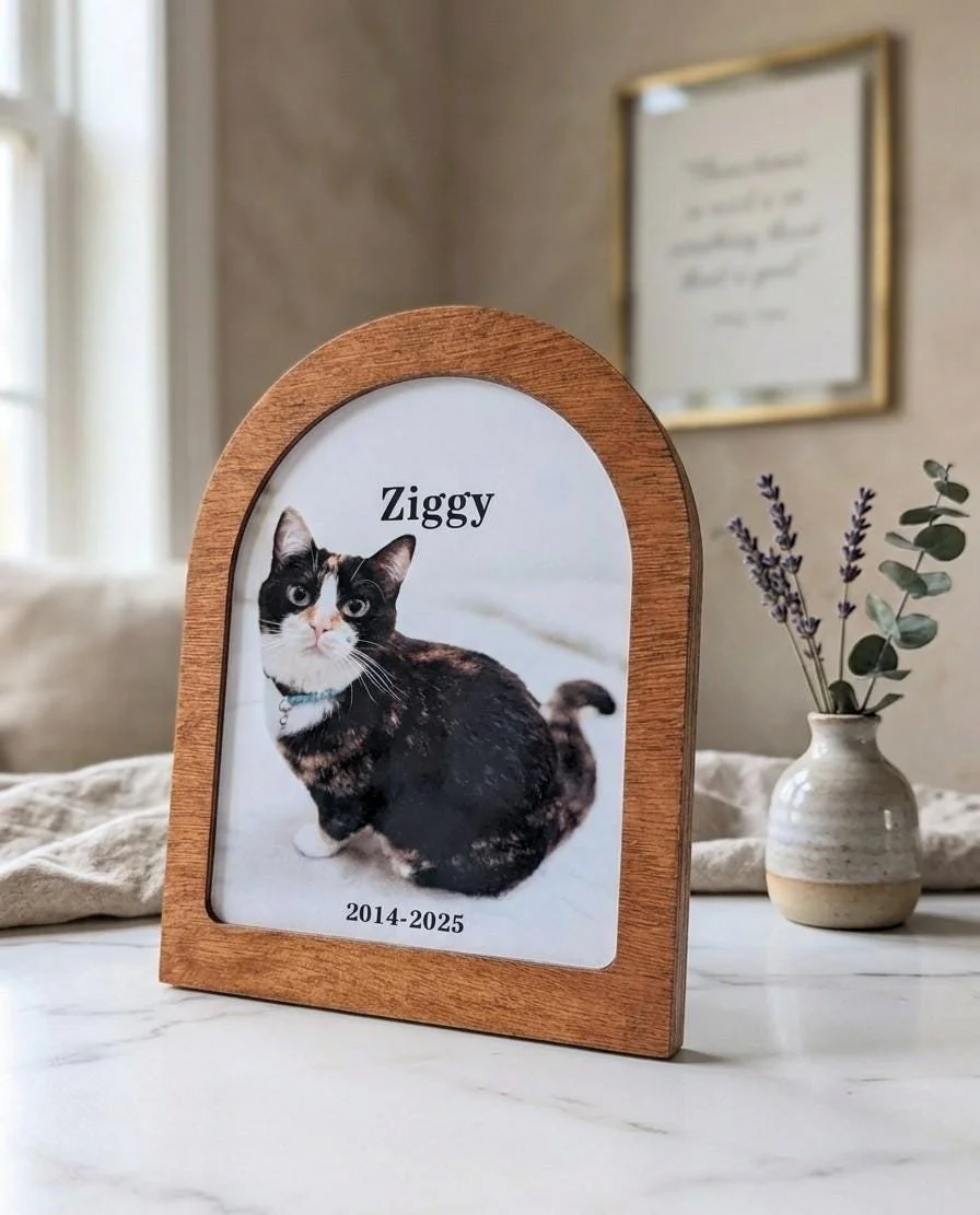 https://i.etsystatic.com/21331761/r/il/4b0be8/7900499311/il_fullxfull.7900499311_k9md.jpg