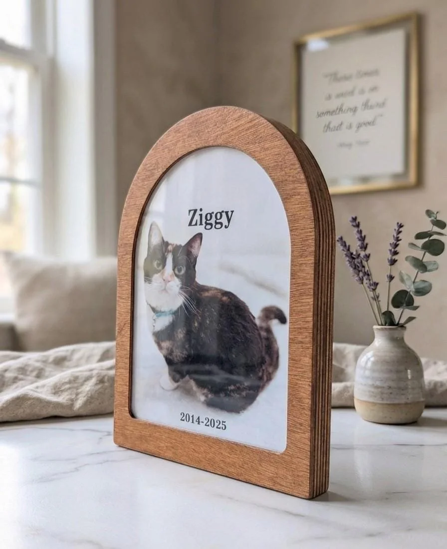 https://i.etsystatic.com/21331761/r/il/5586b0/7900499307/il_fullxfull.7900499307_k398.jpg