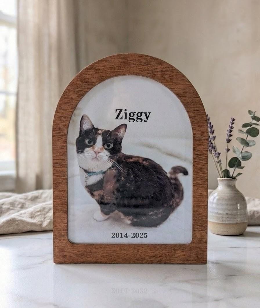 https://i.etsystatic.com/21331761/r/il/95714c/7852536800/il_fullxfull.7852536800_7ywn.jpg