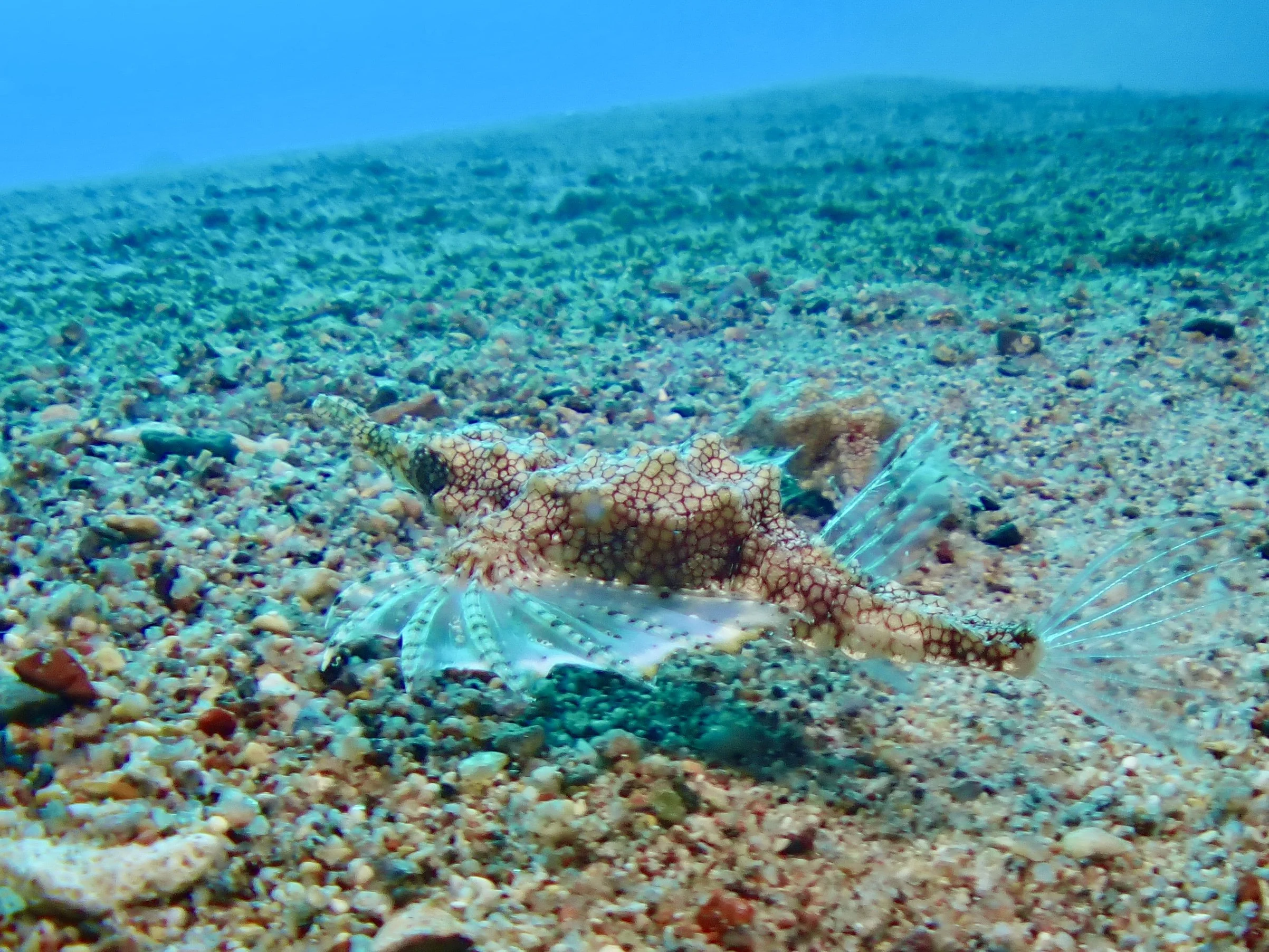 IMG_3964.JPG