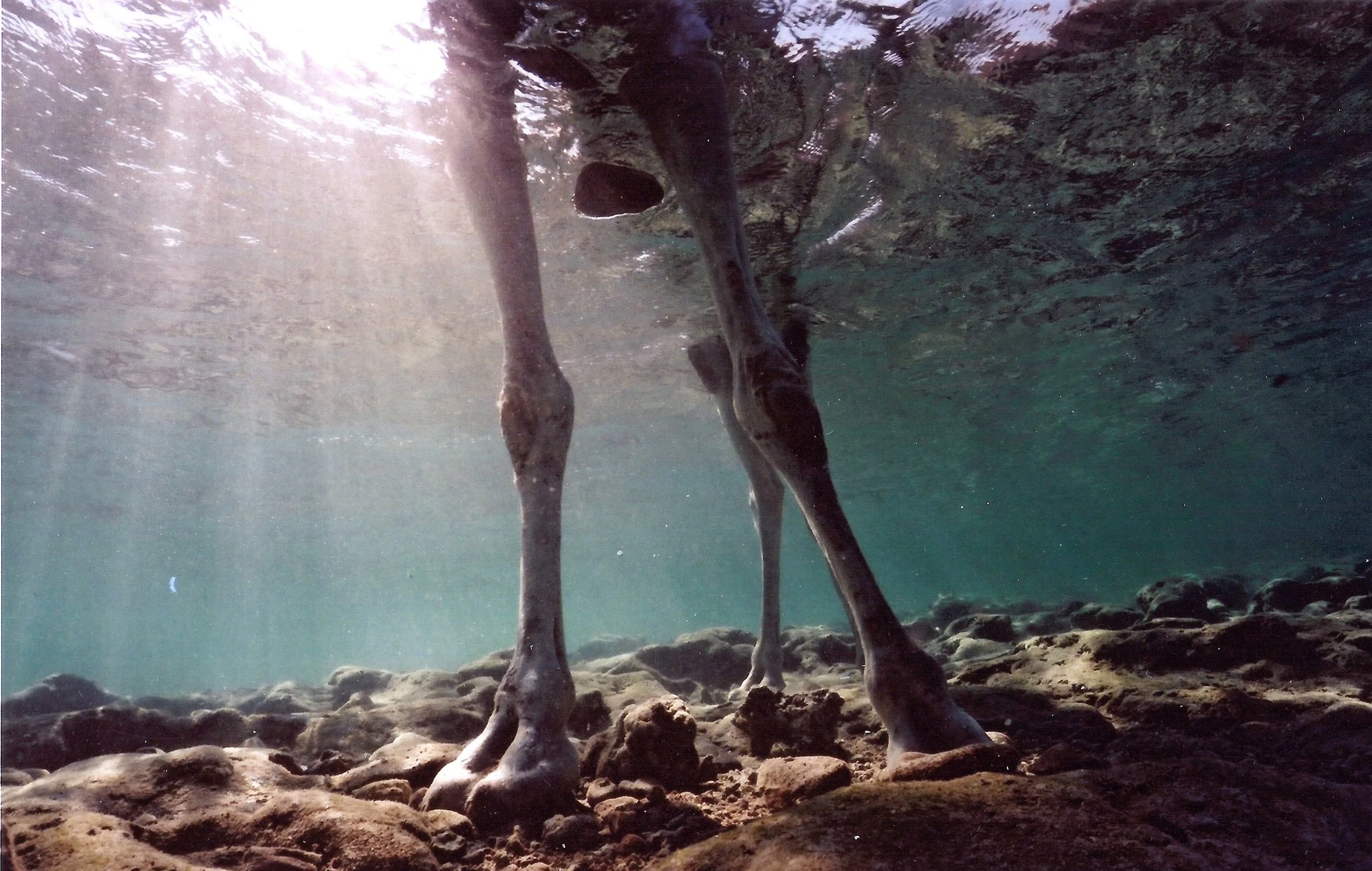 scan0050.jpg