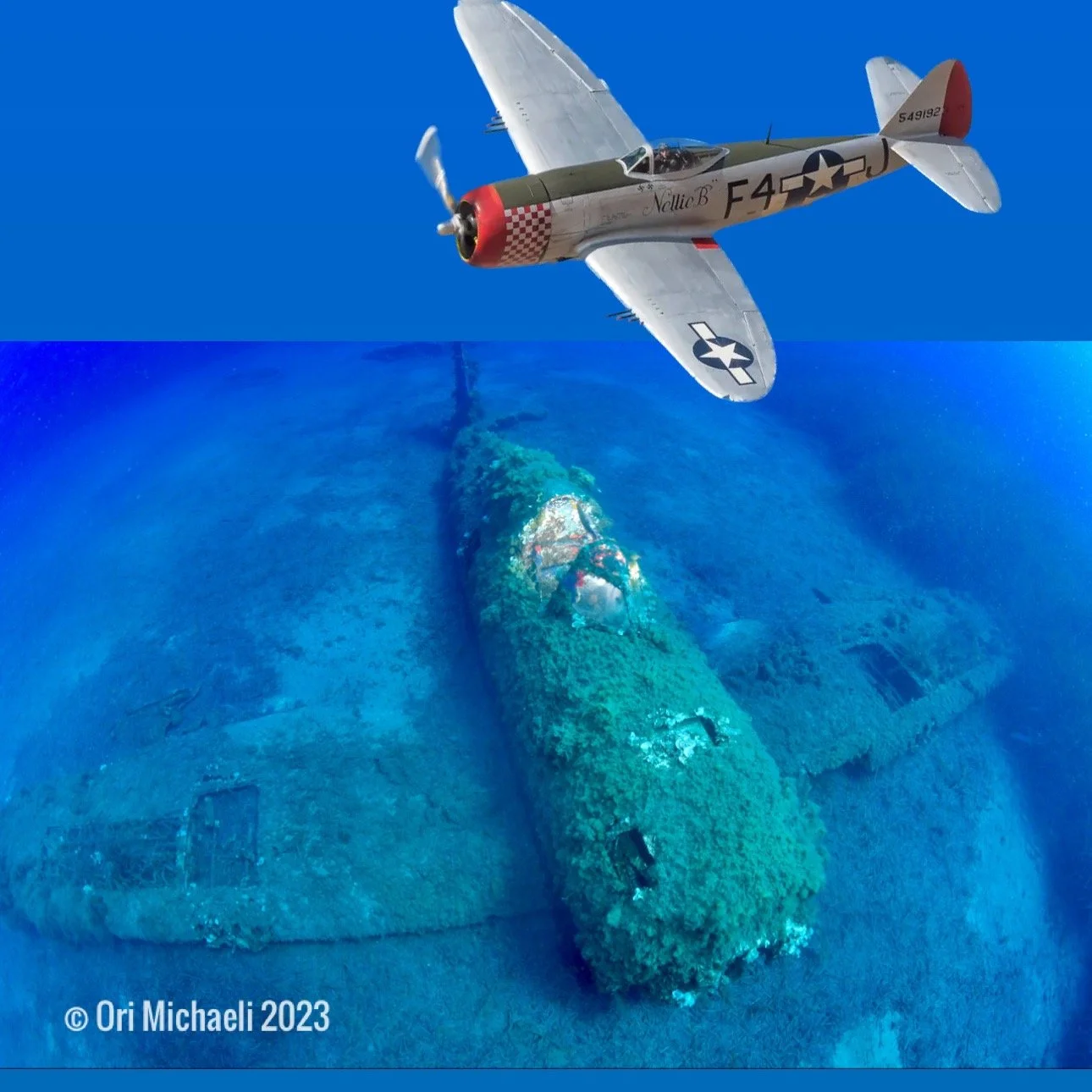 P47 x2 ‘Combat aerian’ First Place, Corsica, France