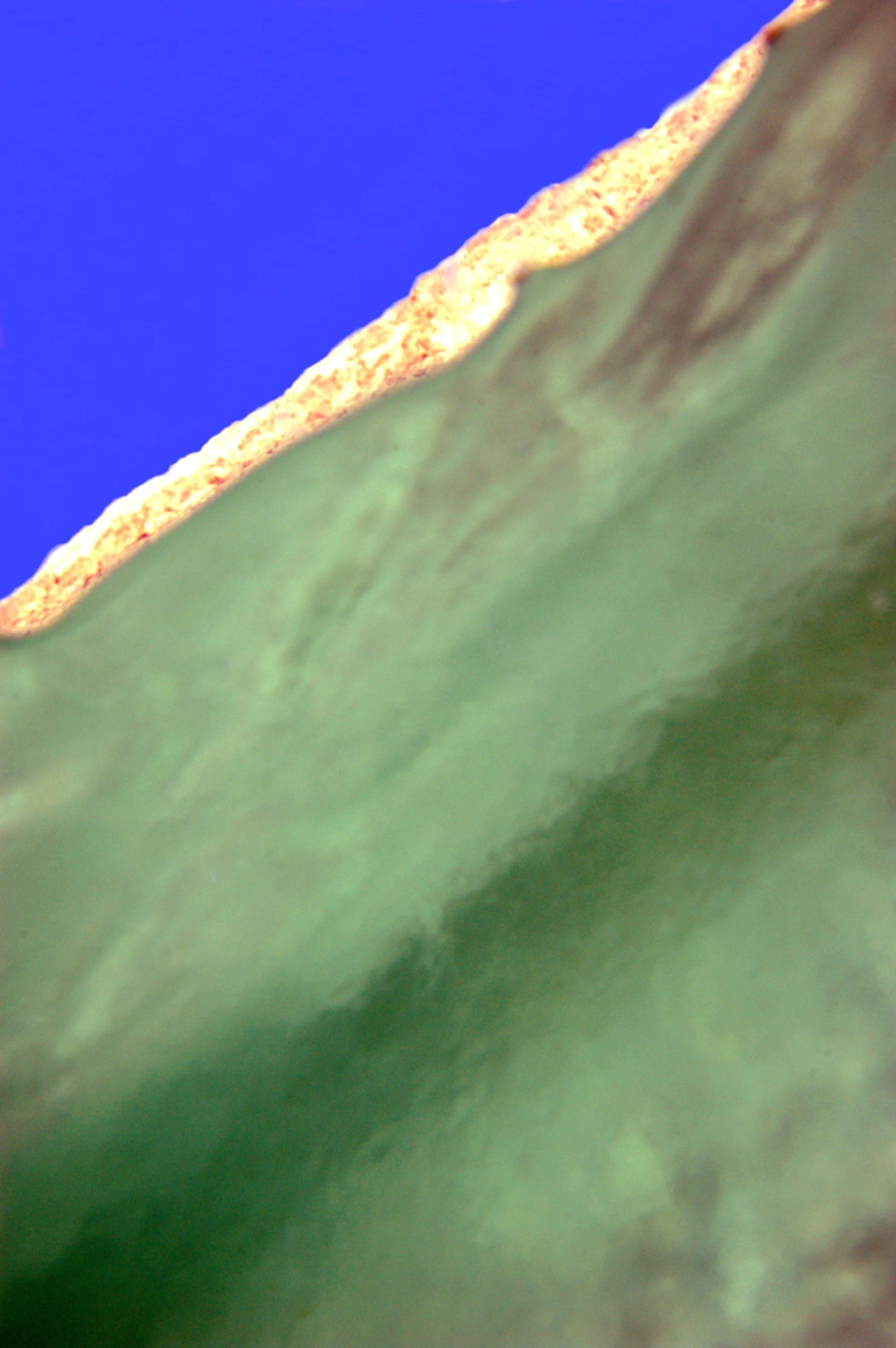 DSC_0133.JPG