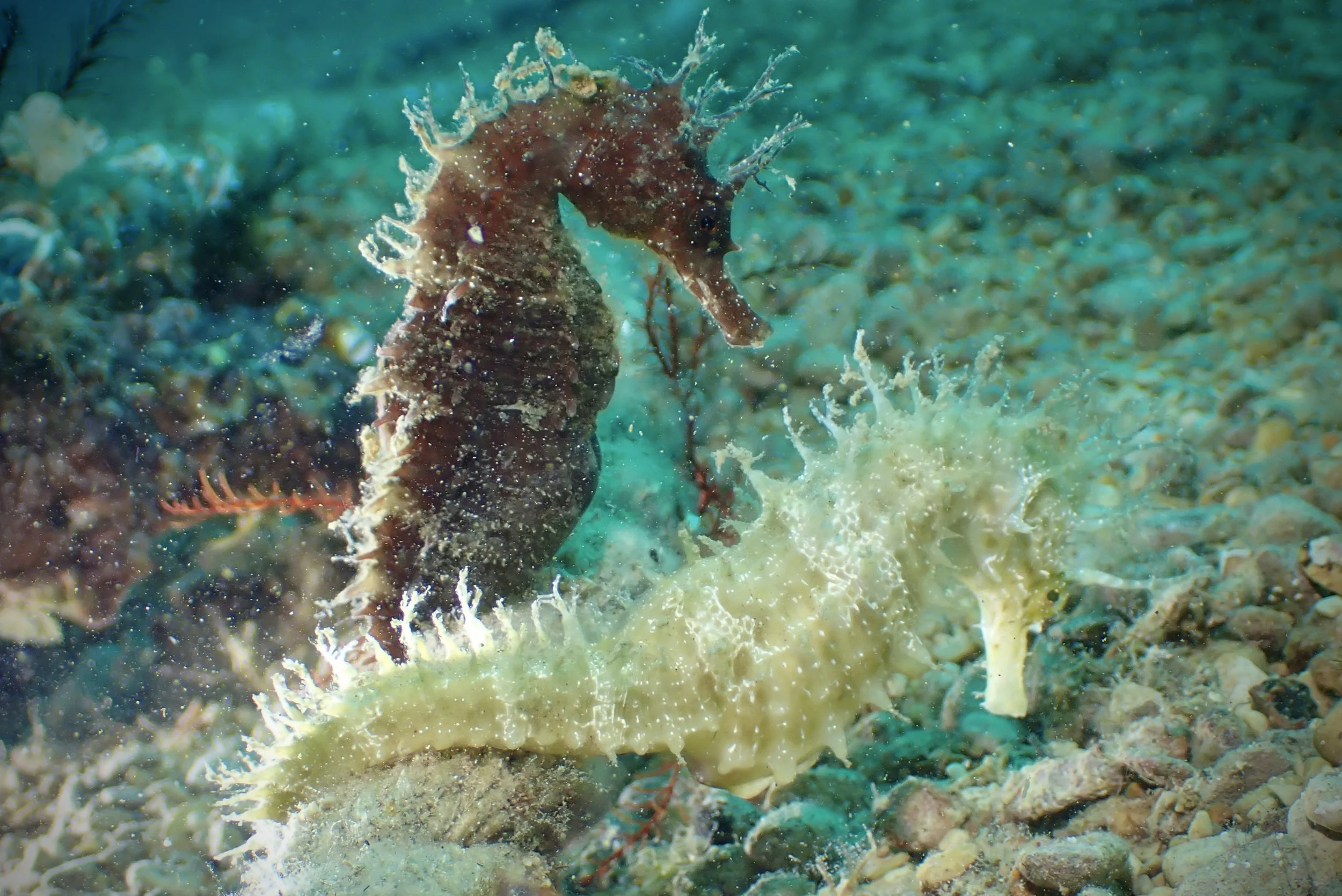 P7280531.JPG