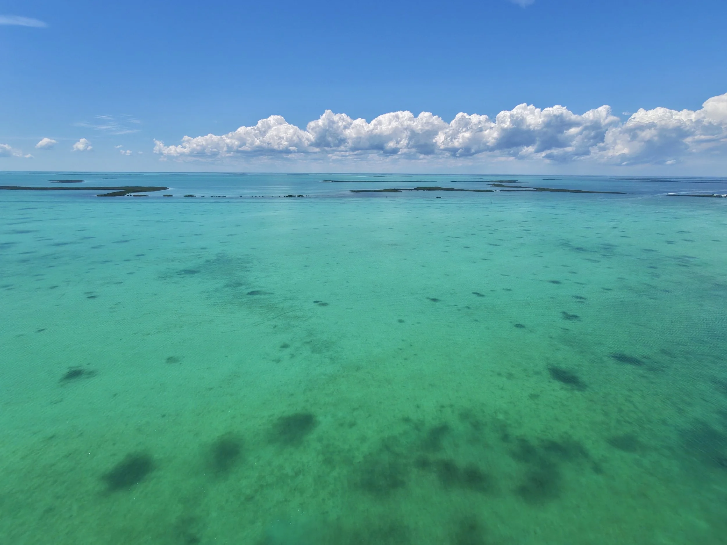 dji_fly_20260420_141204_0103_1776709247494_photo_beautify.jpg